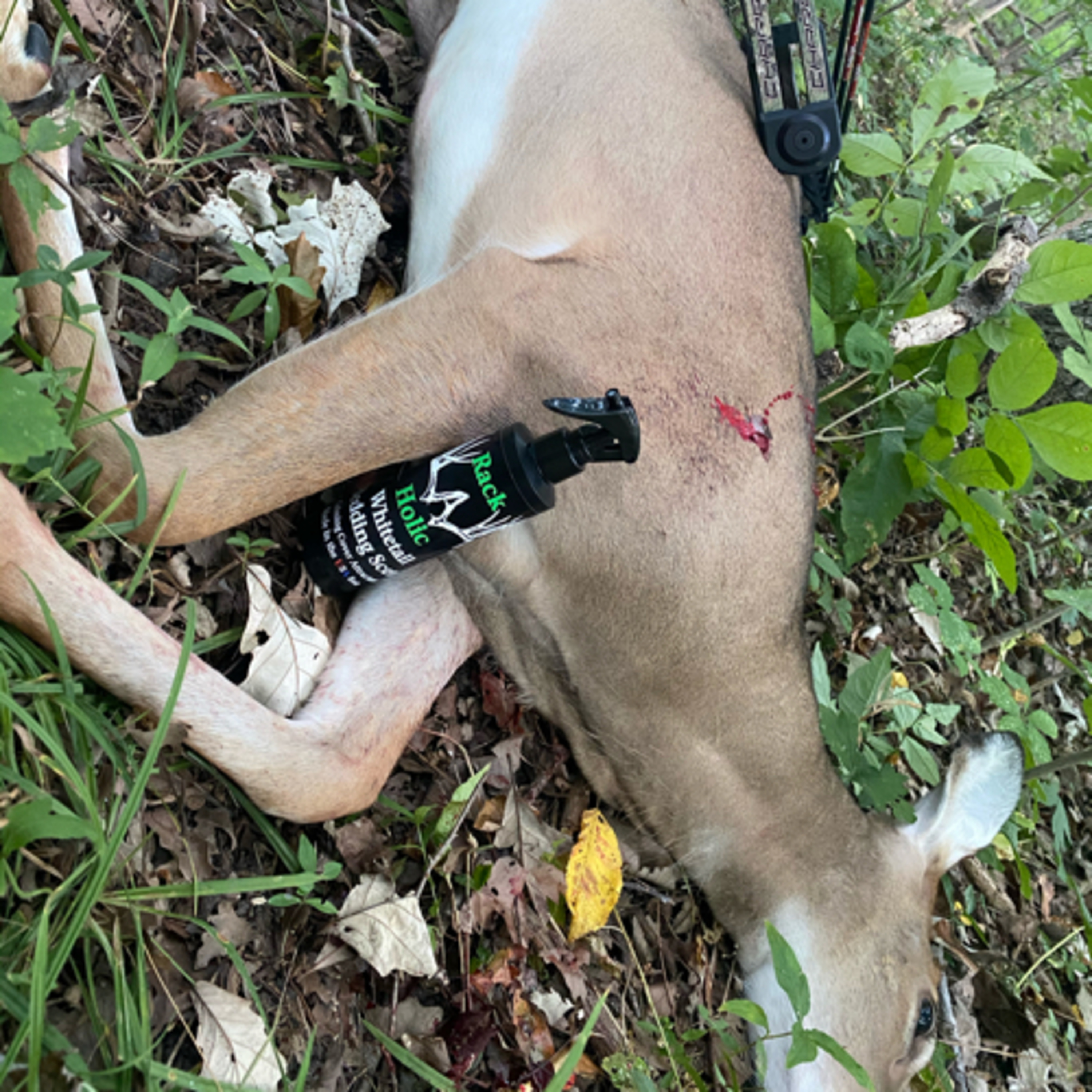 BlueCollarWhitetails