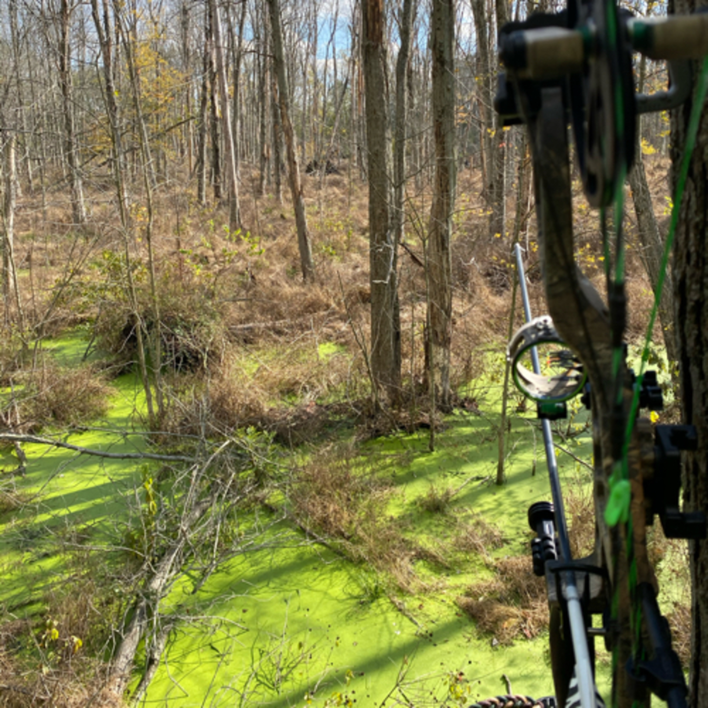 BlueCollarWhitetails
