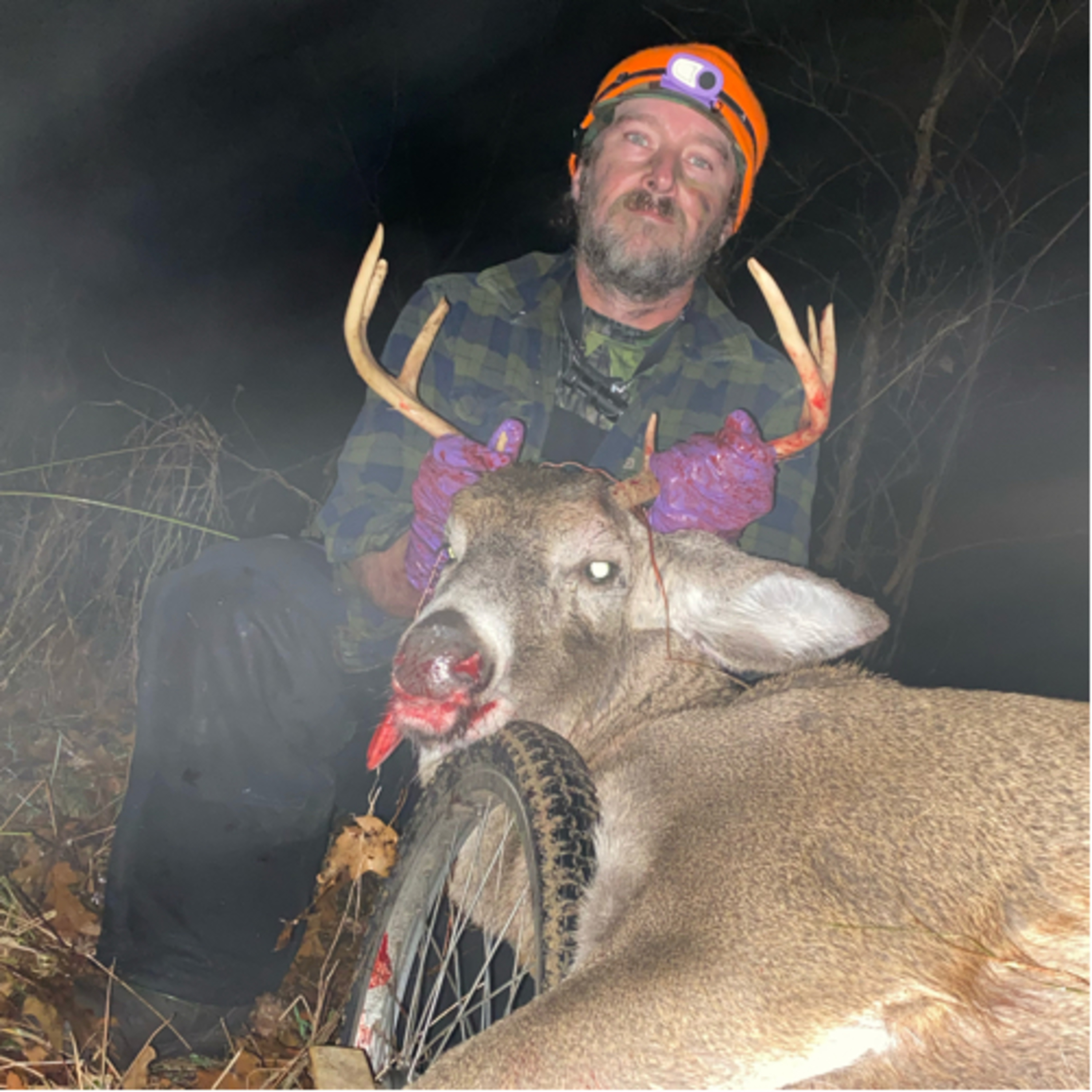 BlueCollarWhitetails