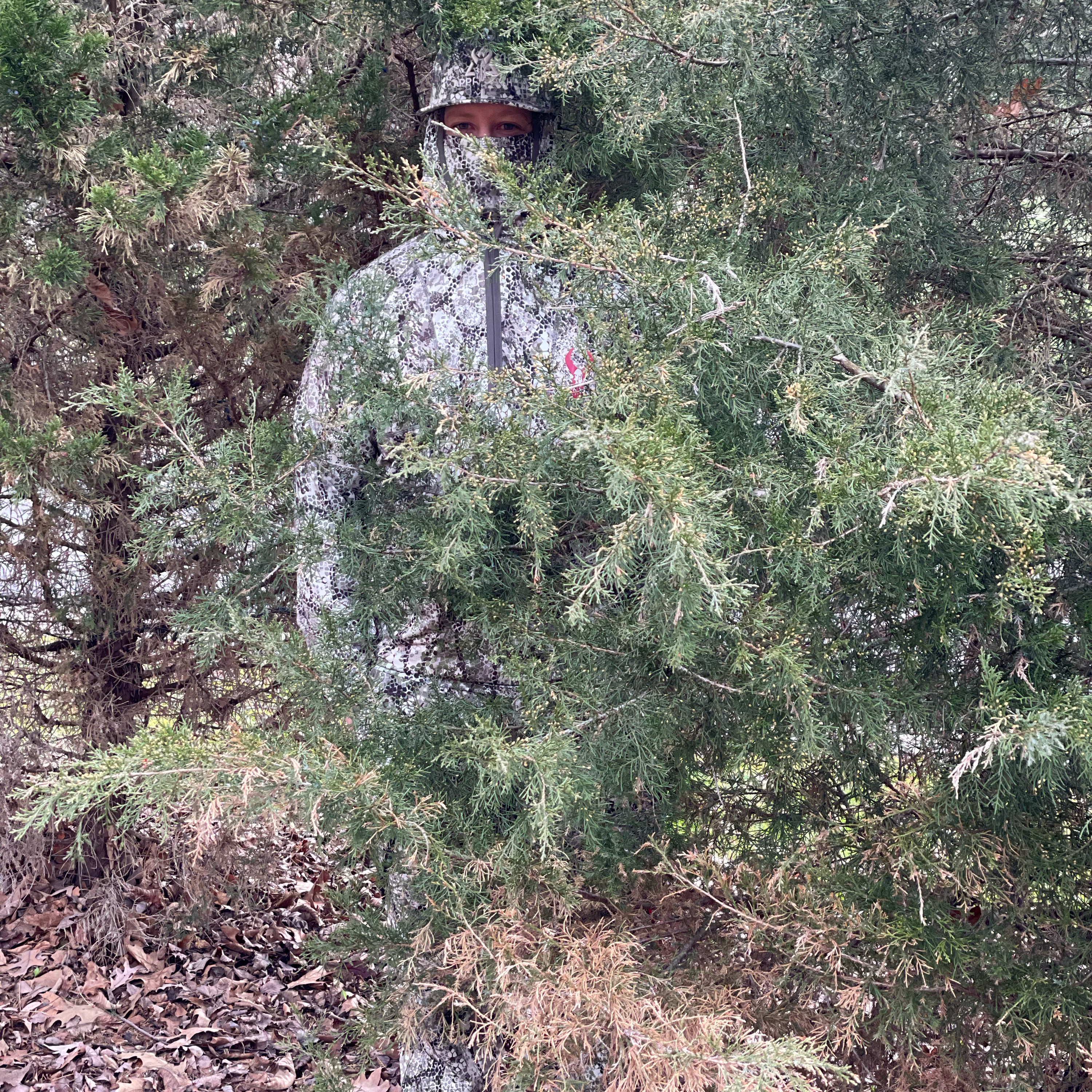 BlueCollarWhitetails