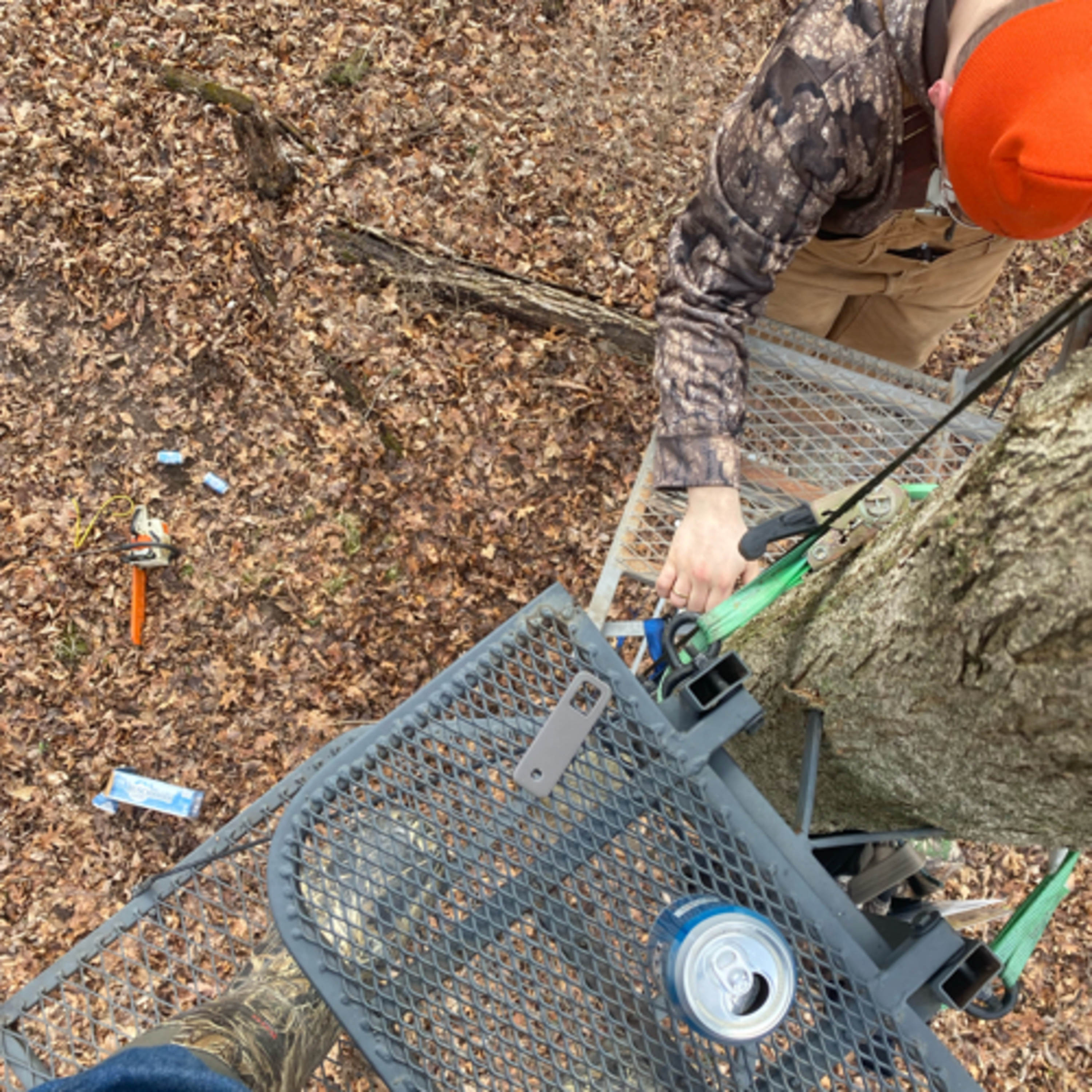BlueCollarWhitetails