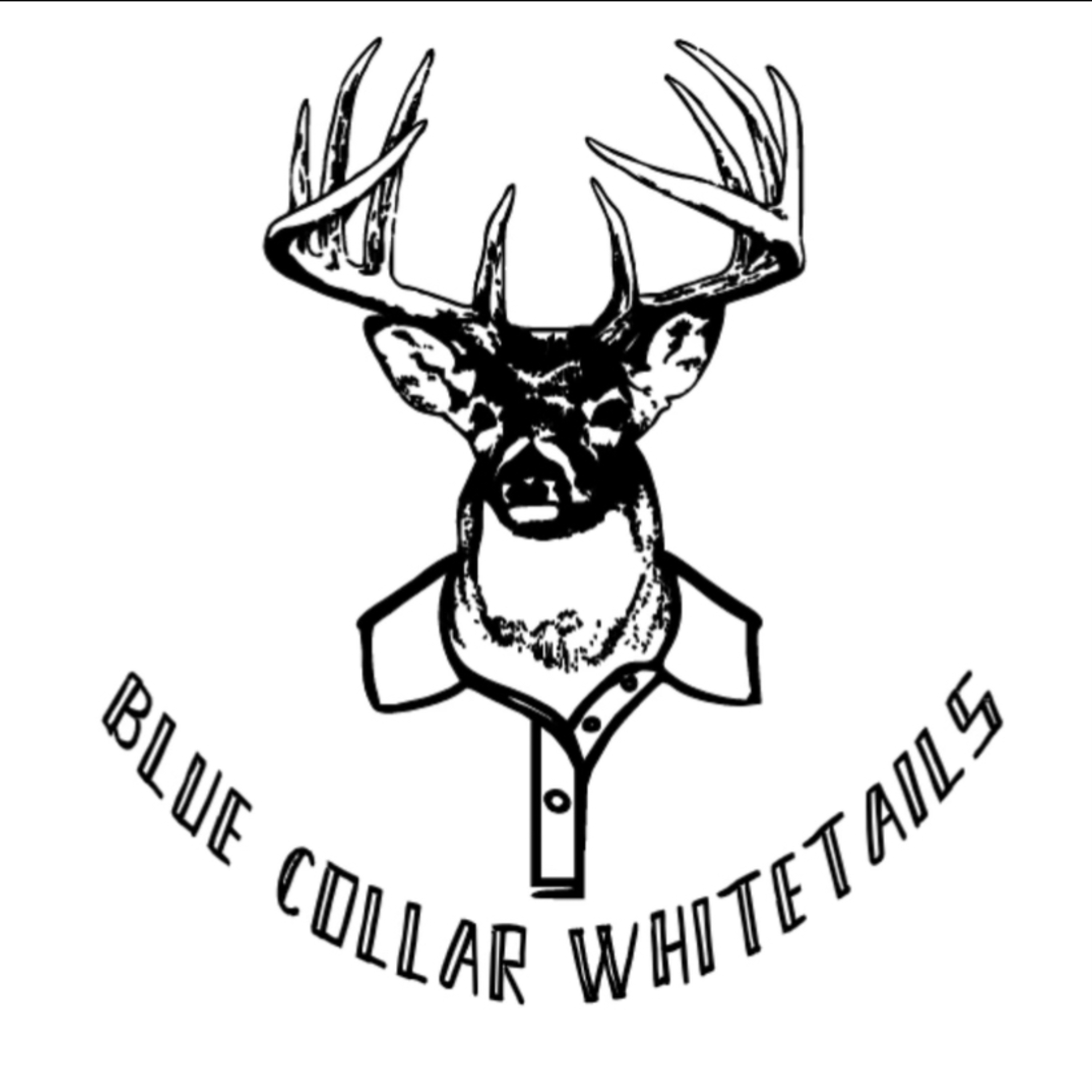 BlueCollarWhitetails