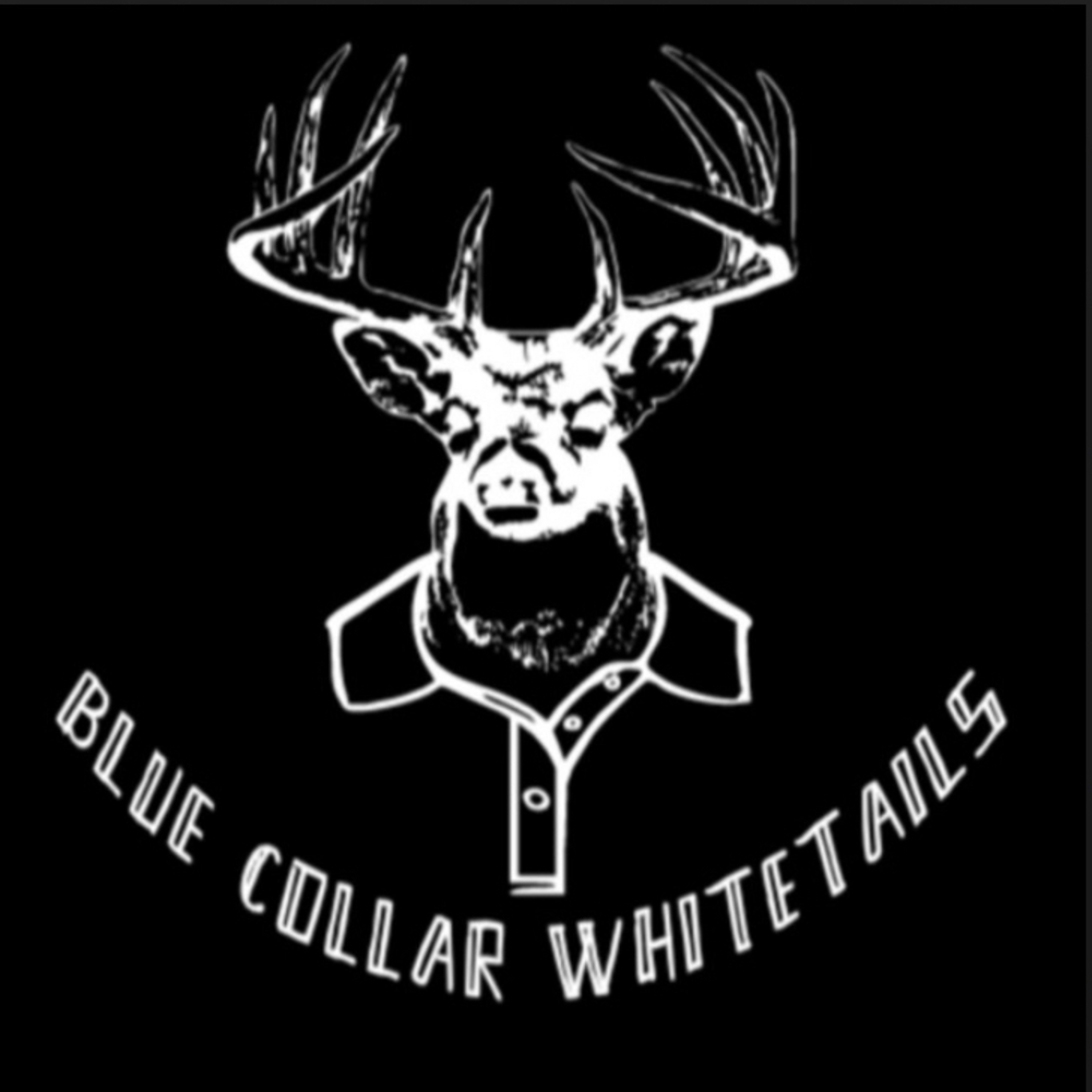 BlueCollarWhitetails