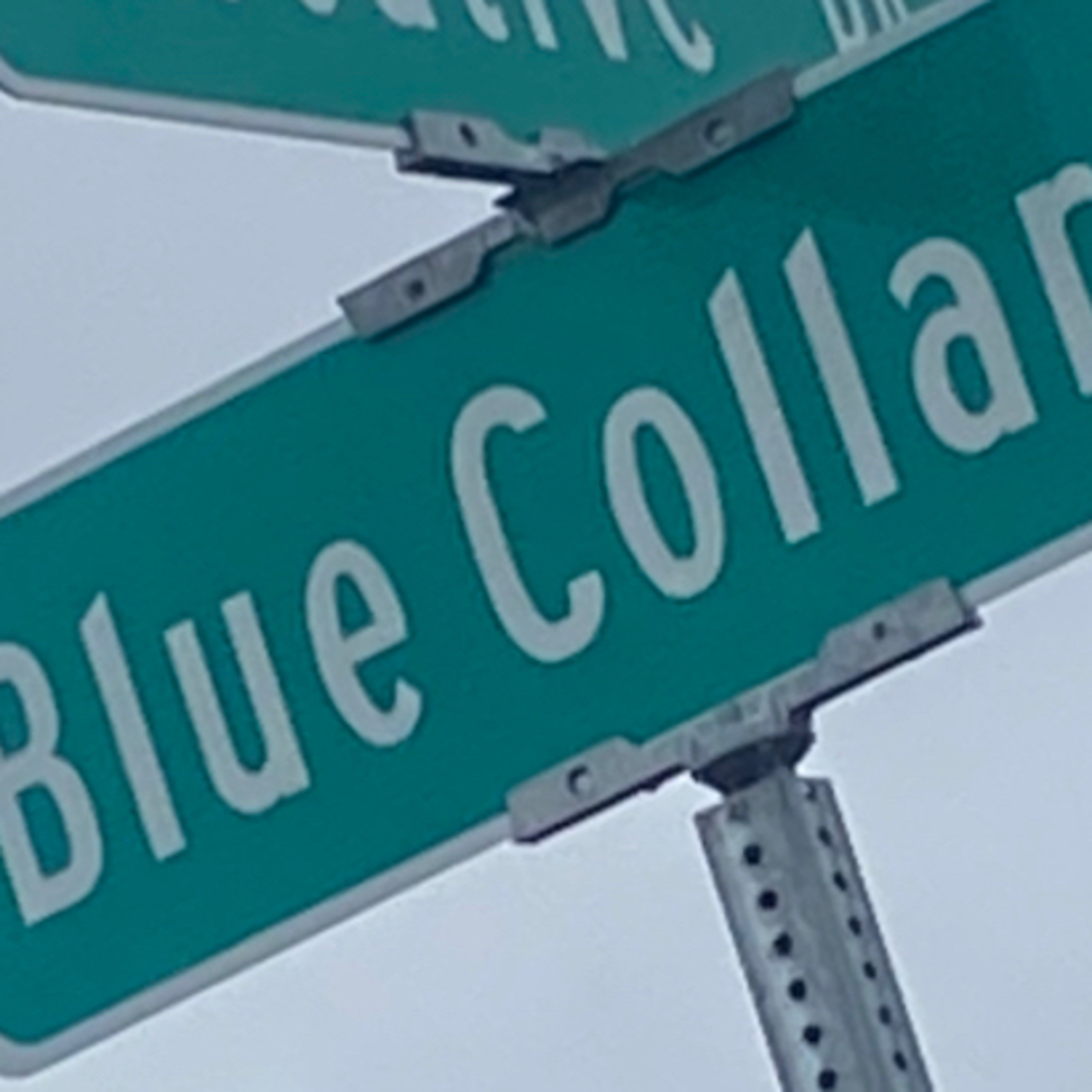 BlueCollarWhitetails