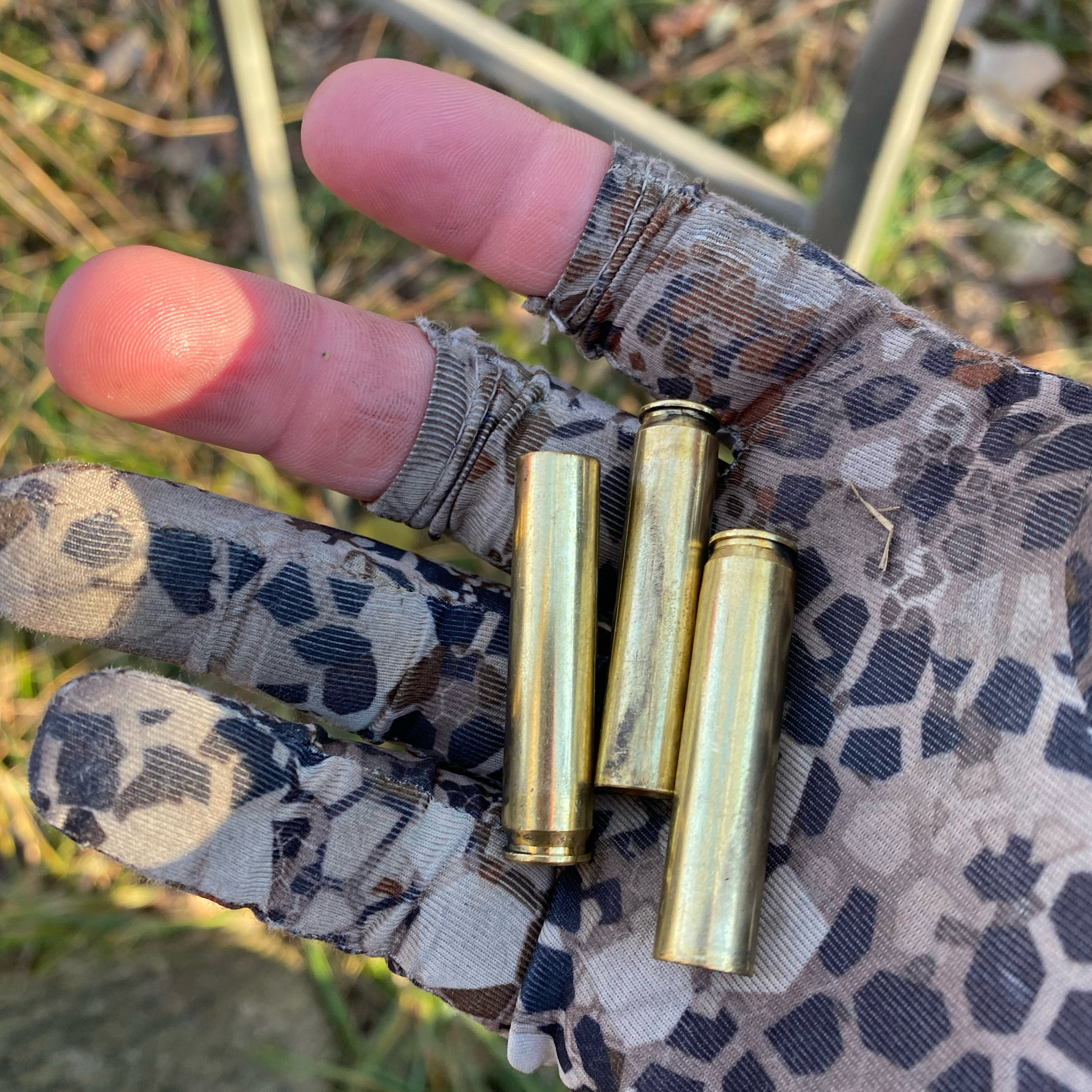 BlueCollarWhitetails