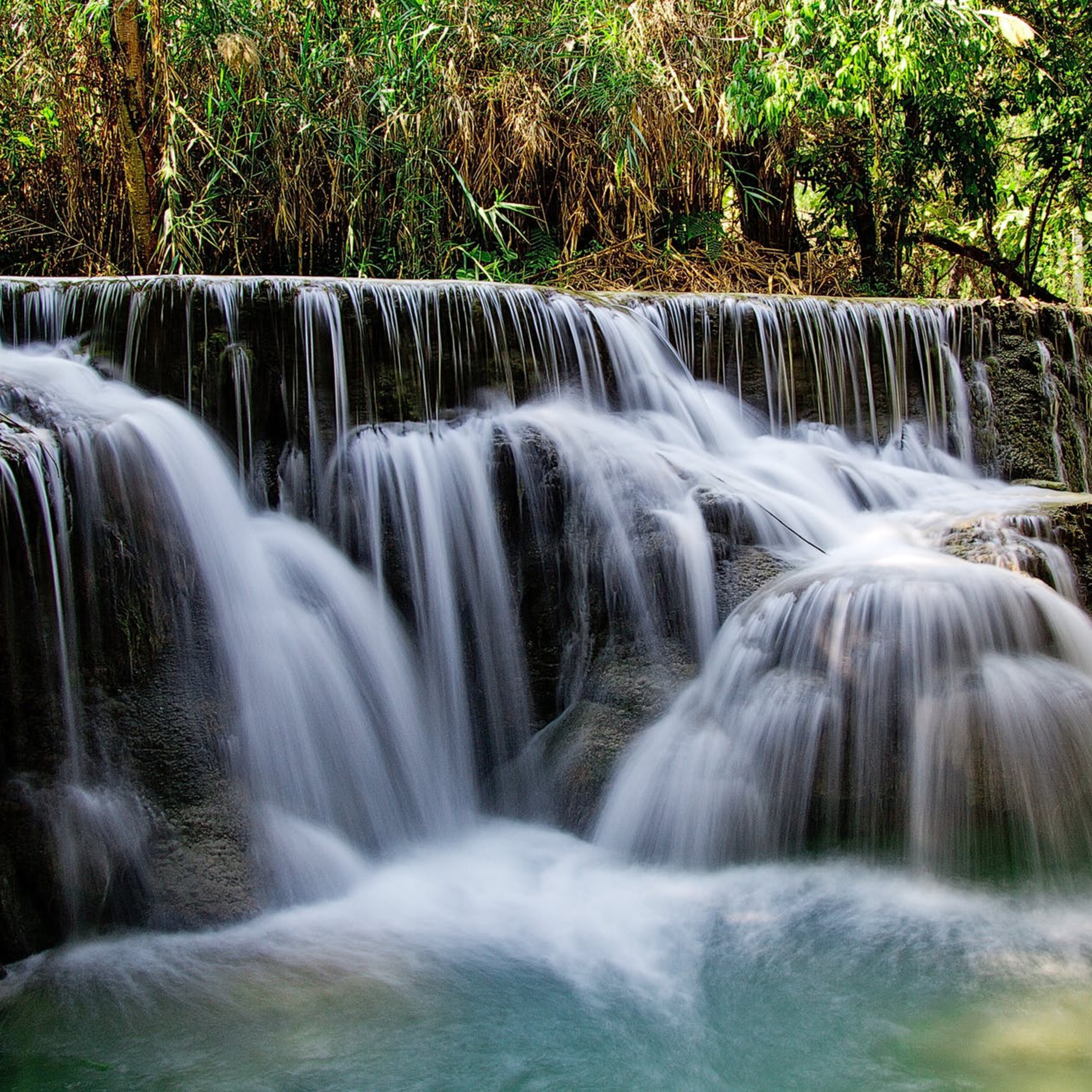 the springs