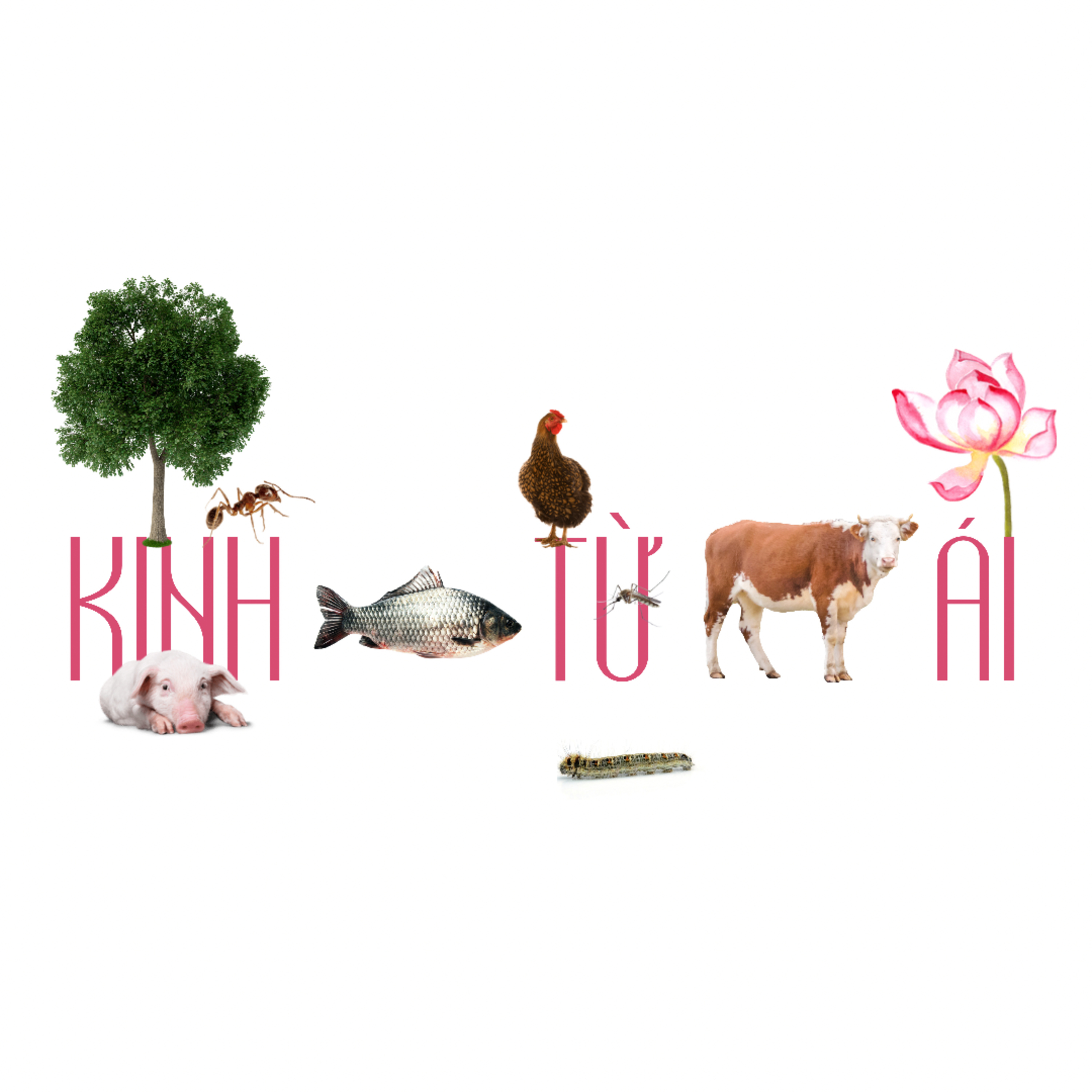 KINH TỪ ÁI - KINH THƯƠNG YÊU
