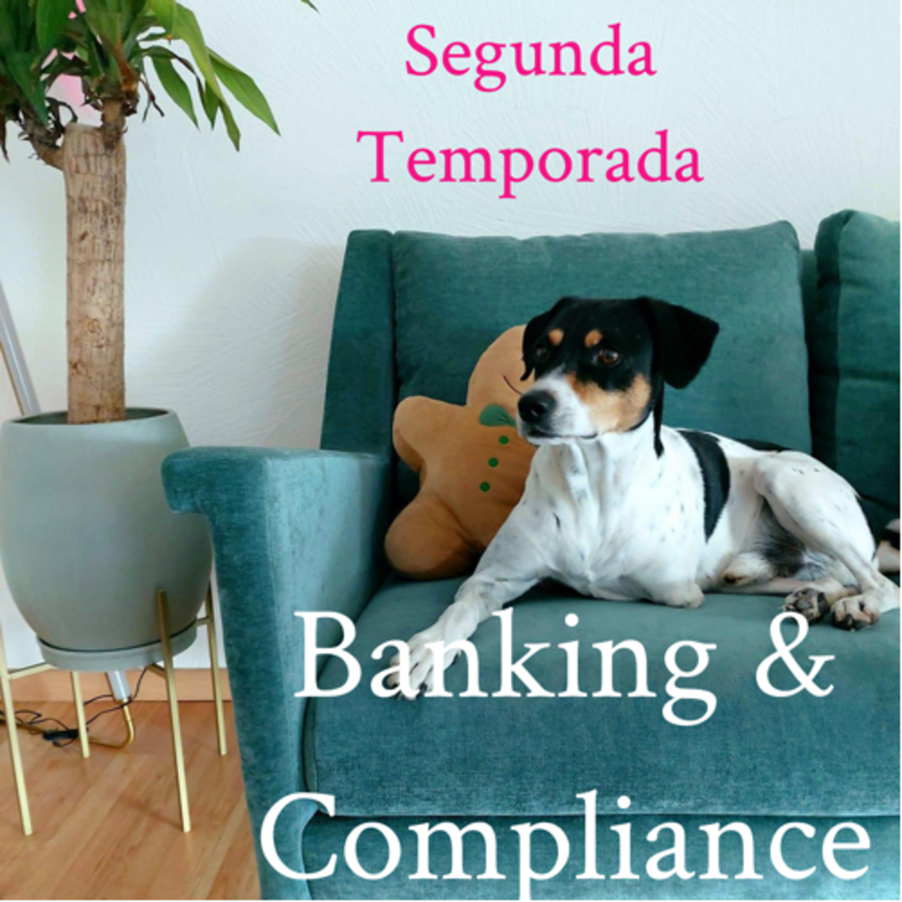 Banking & Compliance