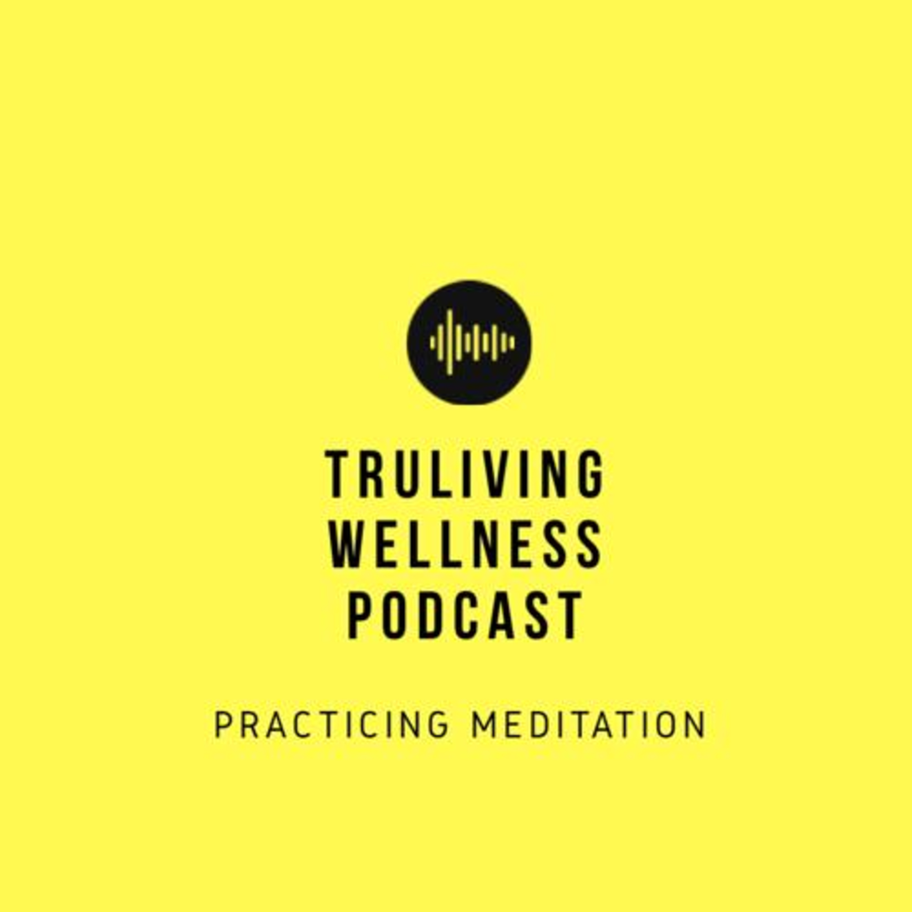 Practicing Meditation episode artwork