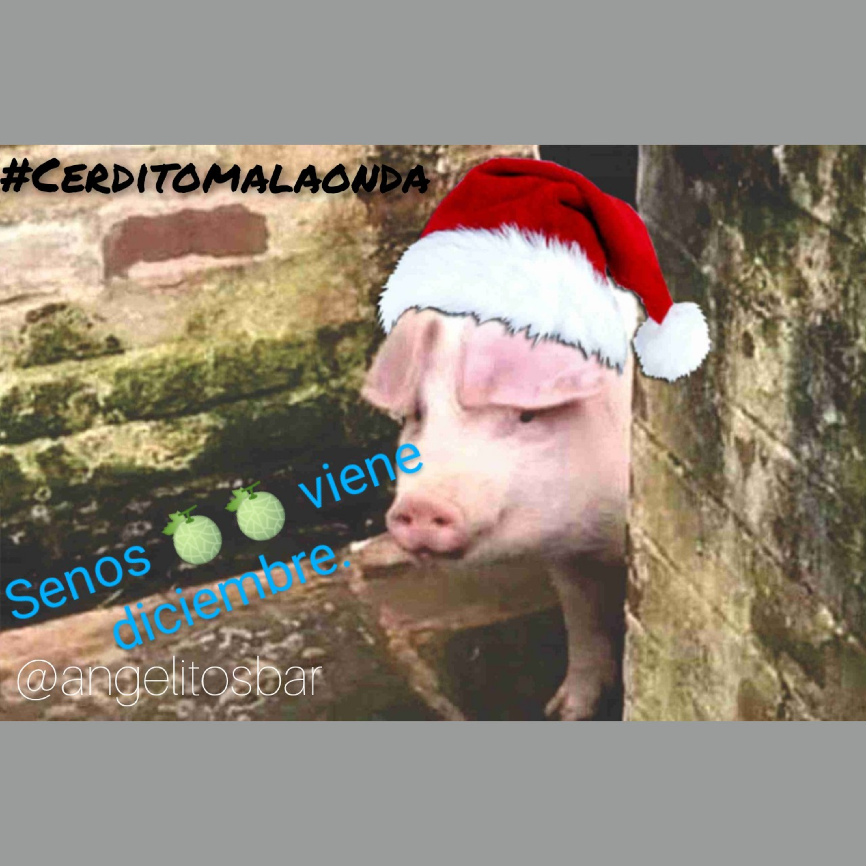 Cerdito de Podcast