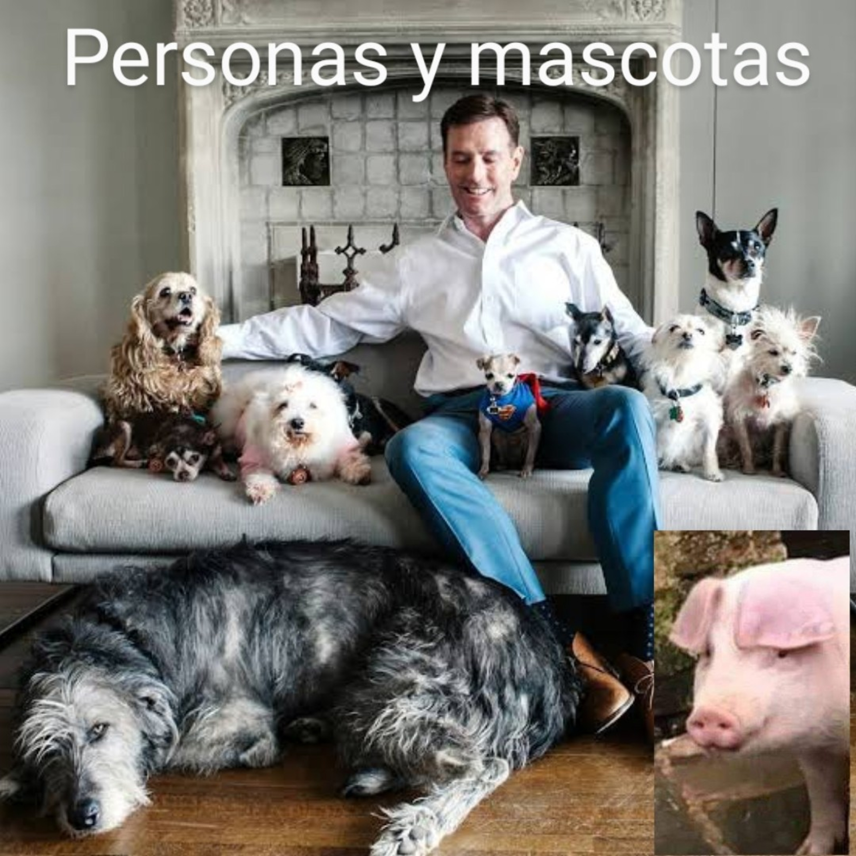 Cerdito de Podcast