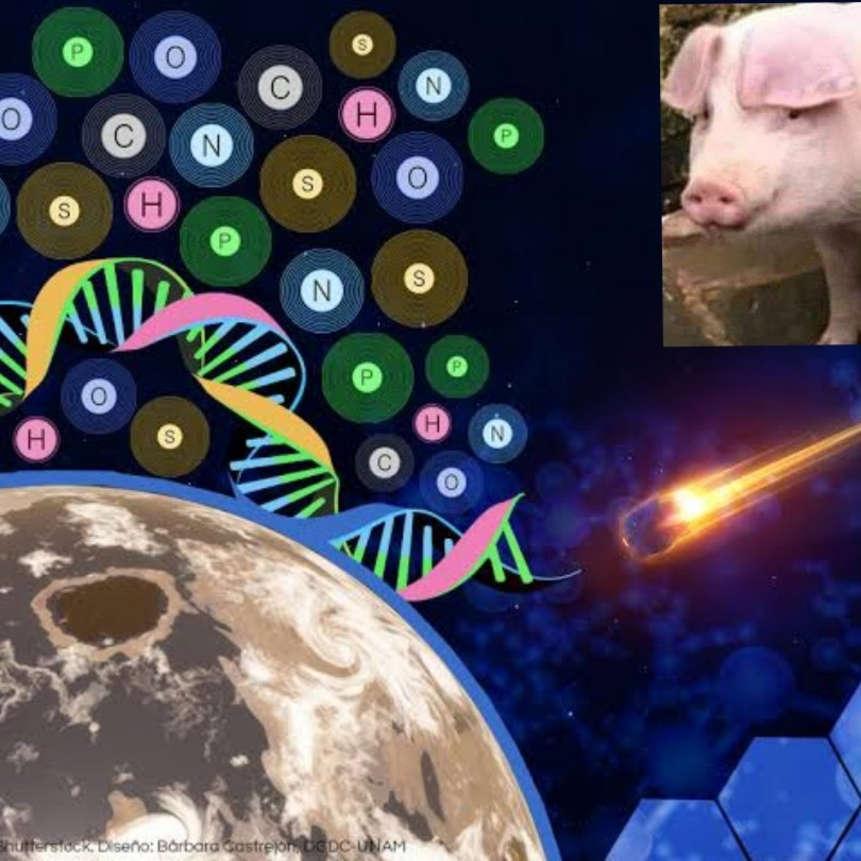 Cerdito de Podcast