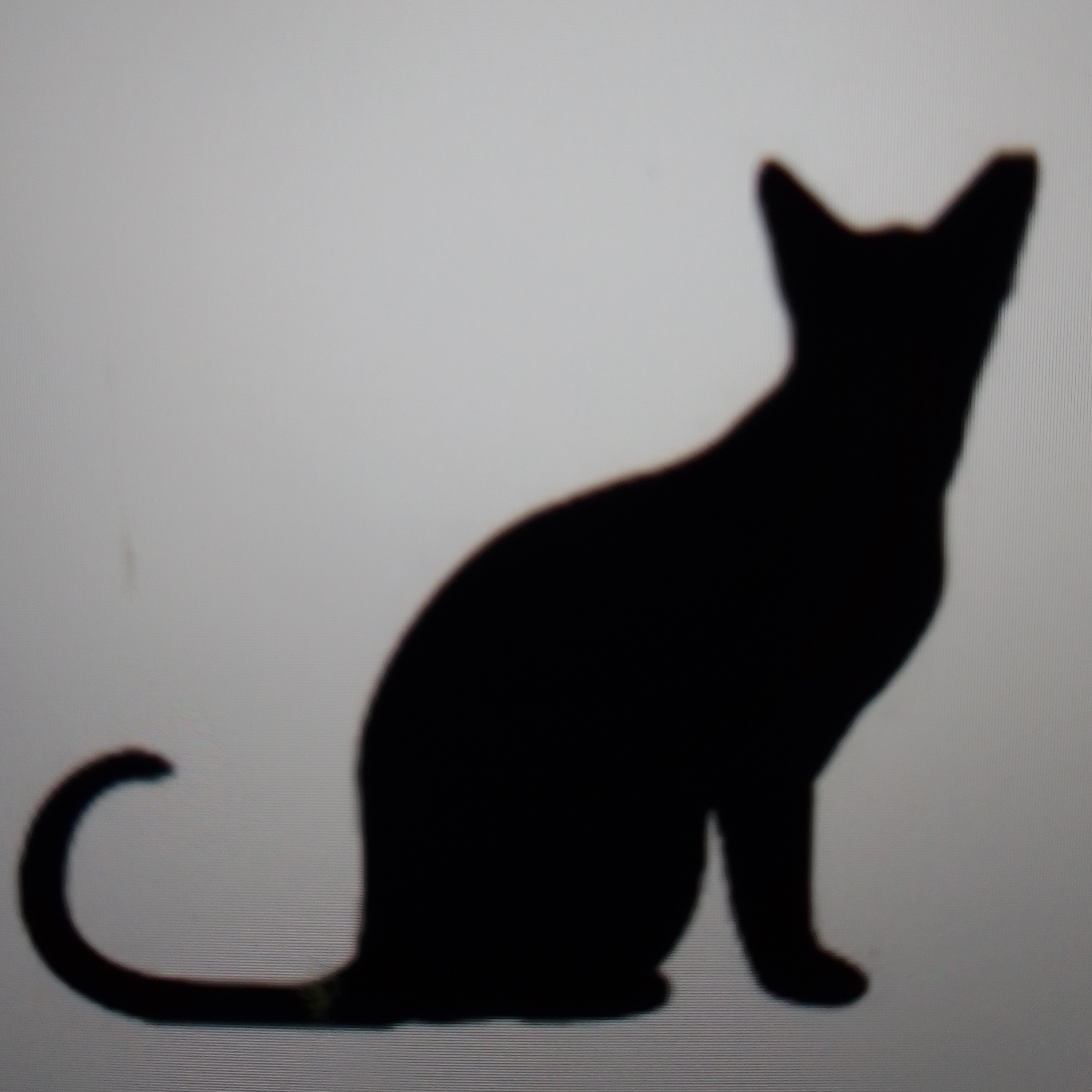 El gato negro episode artwork