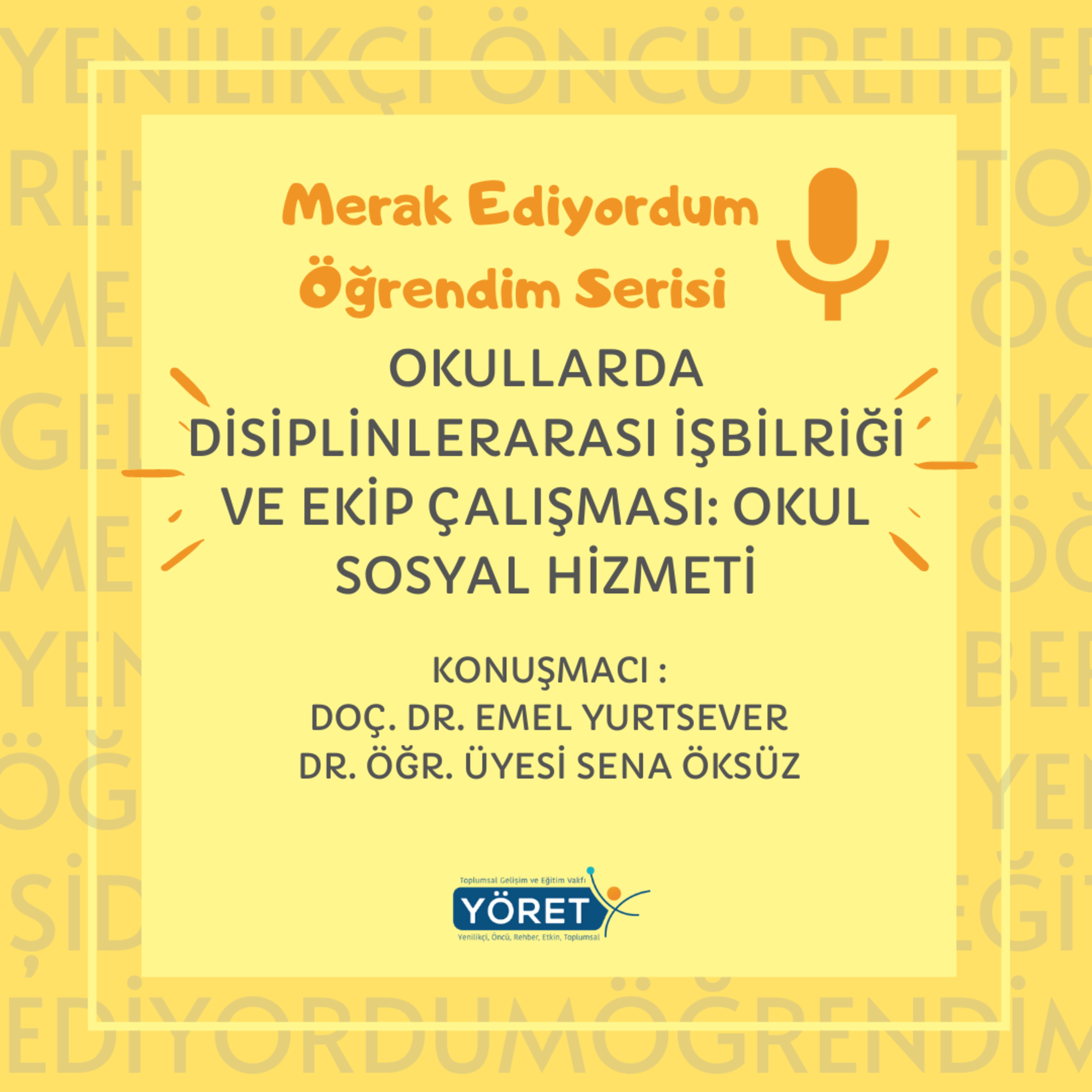 Merak Ediyordum Öğrendim
