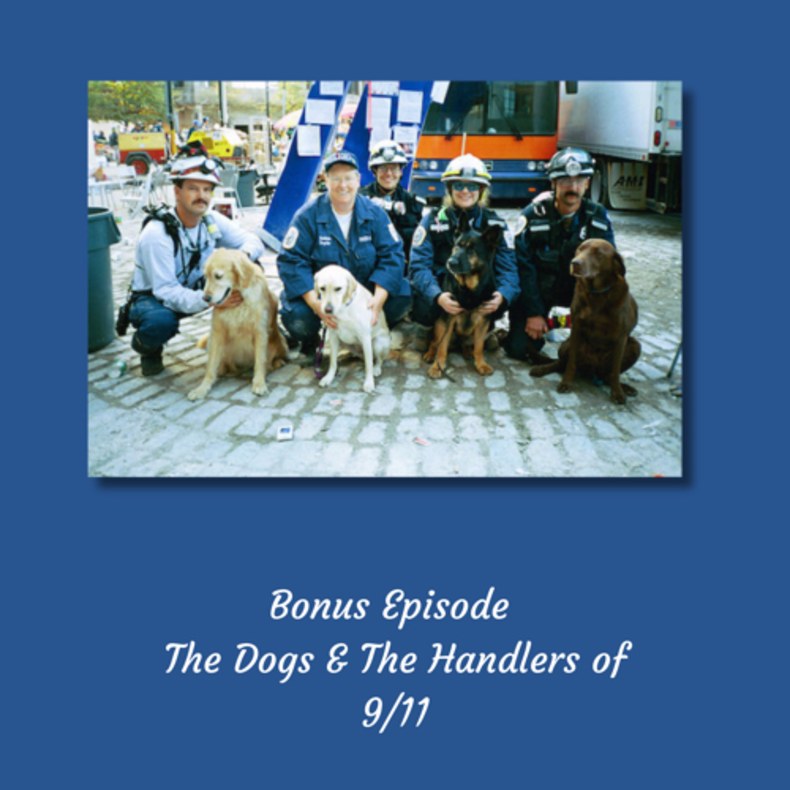 The K-9s of 9/11