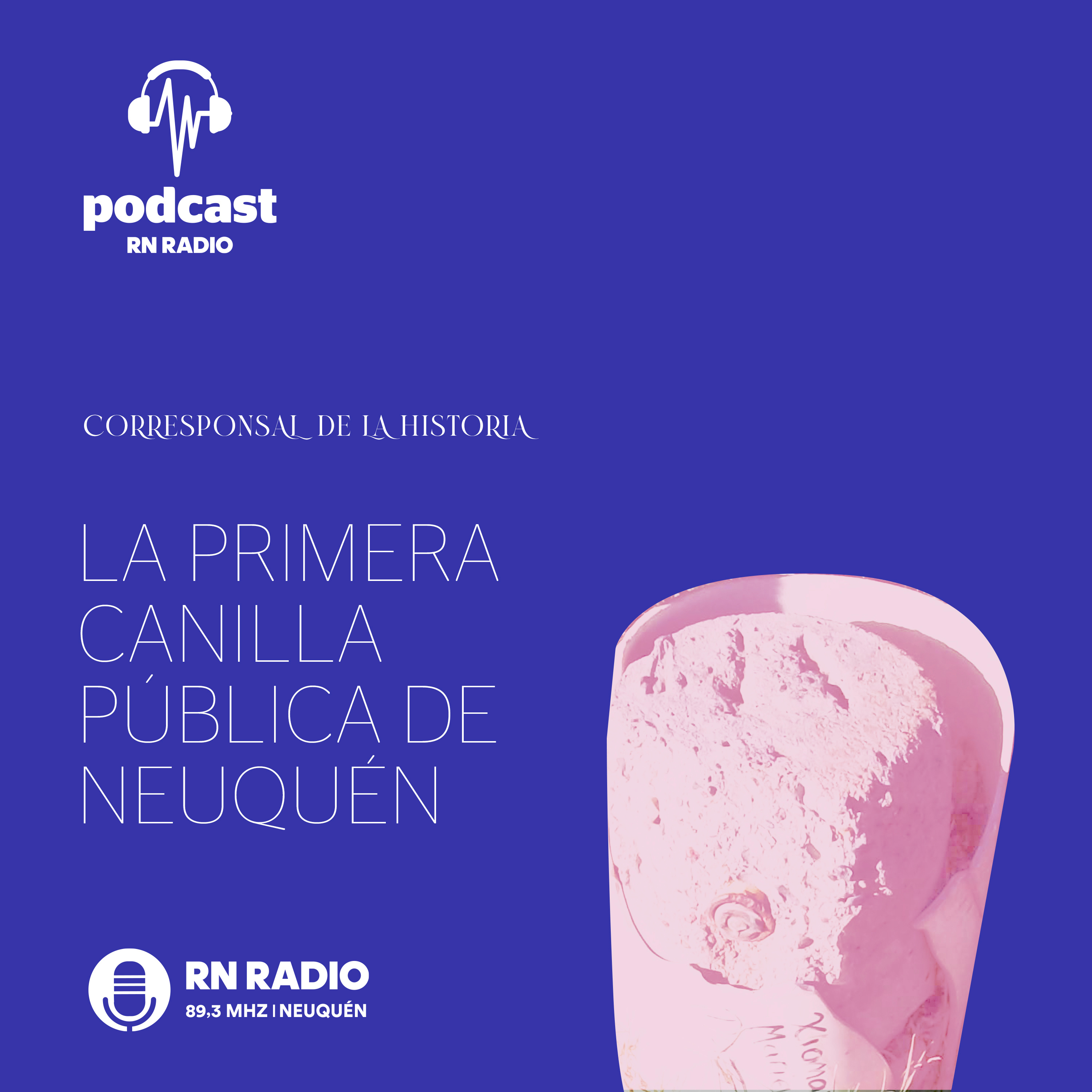 Corresponsal de la Historia