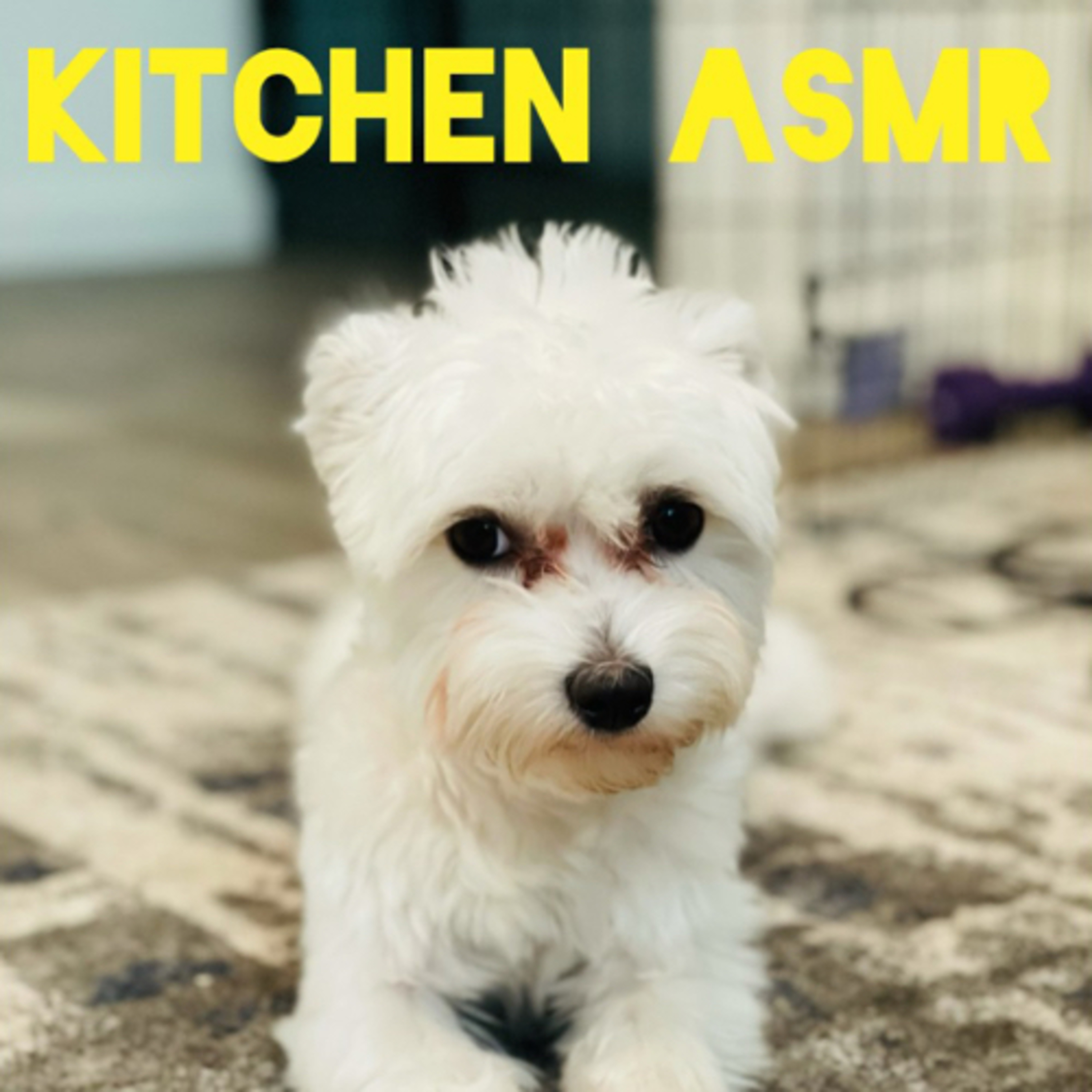Kitchen ASMR