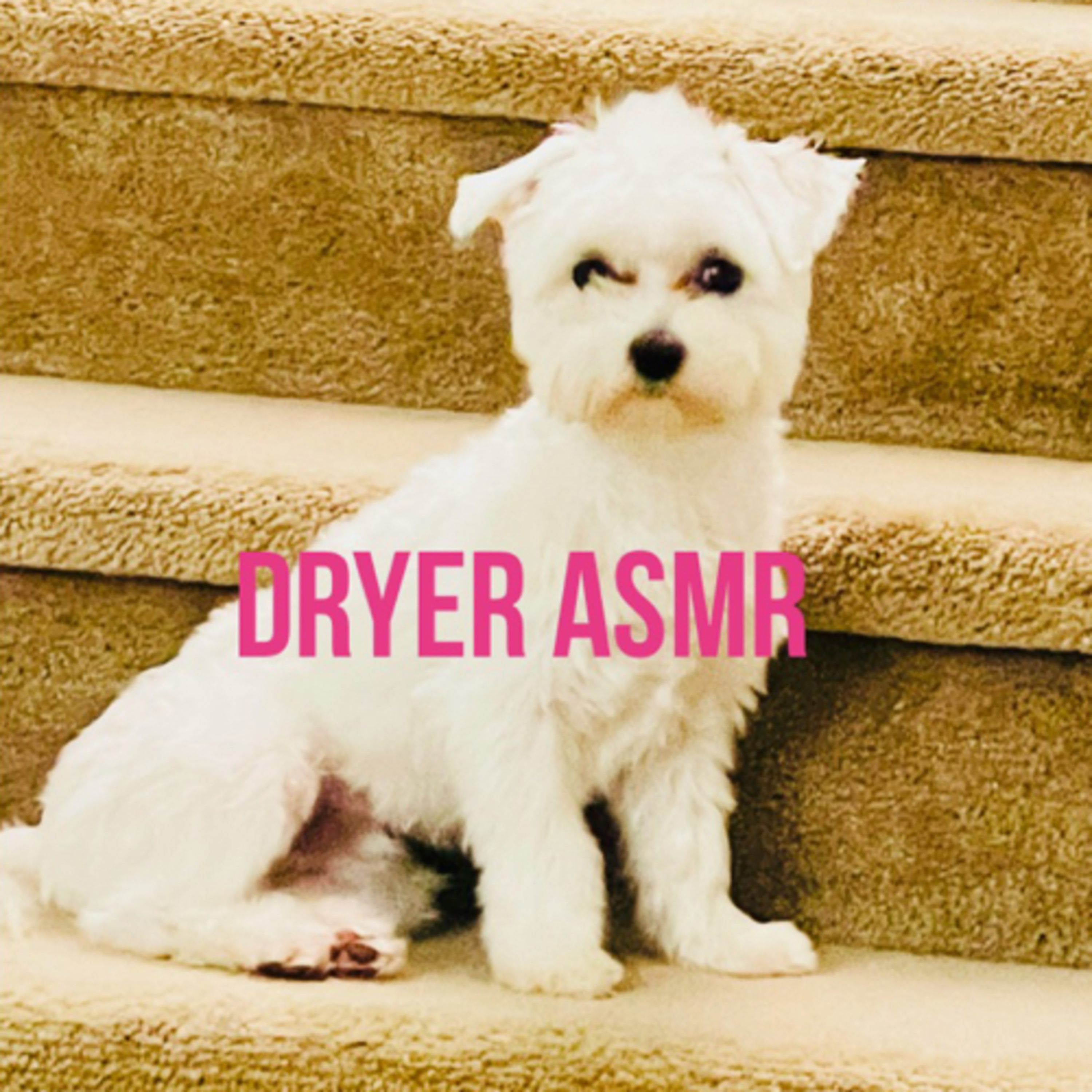 Dryer ASMR