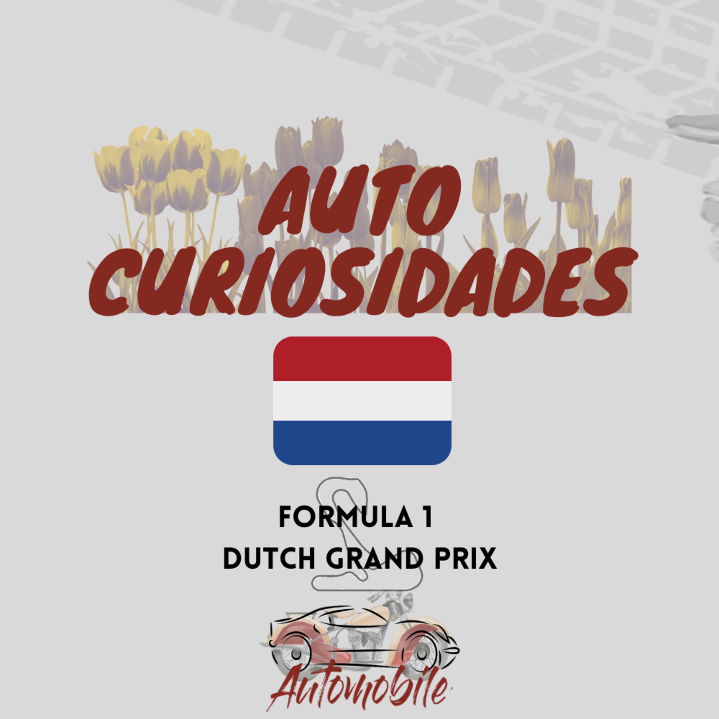 Automobile - AutoCuriosidades - GP dos Países Baixos 2022