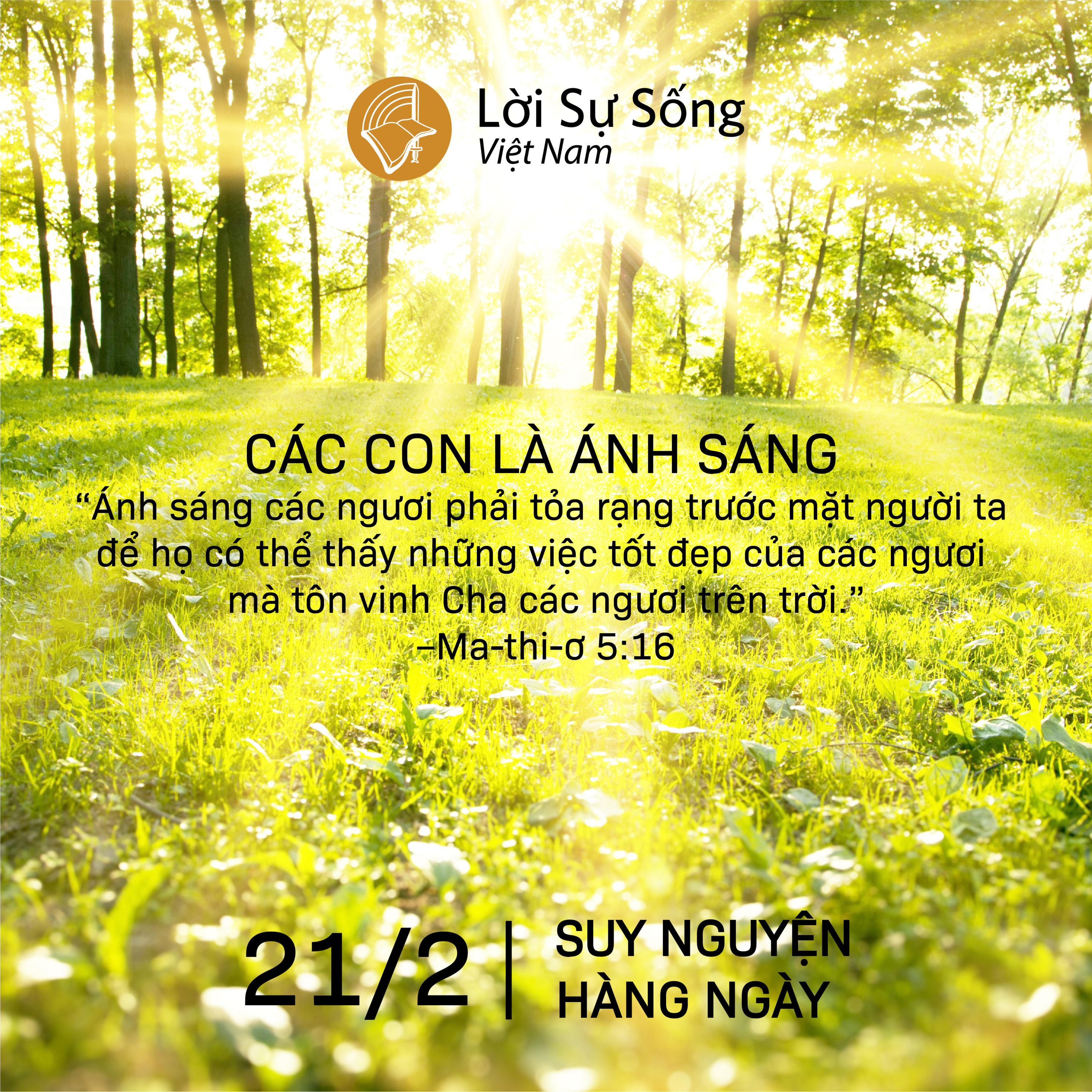 Suy Nguyện - Kinh Nghiệm Chúa Từng Ngày