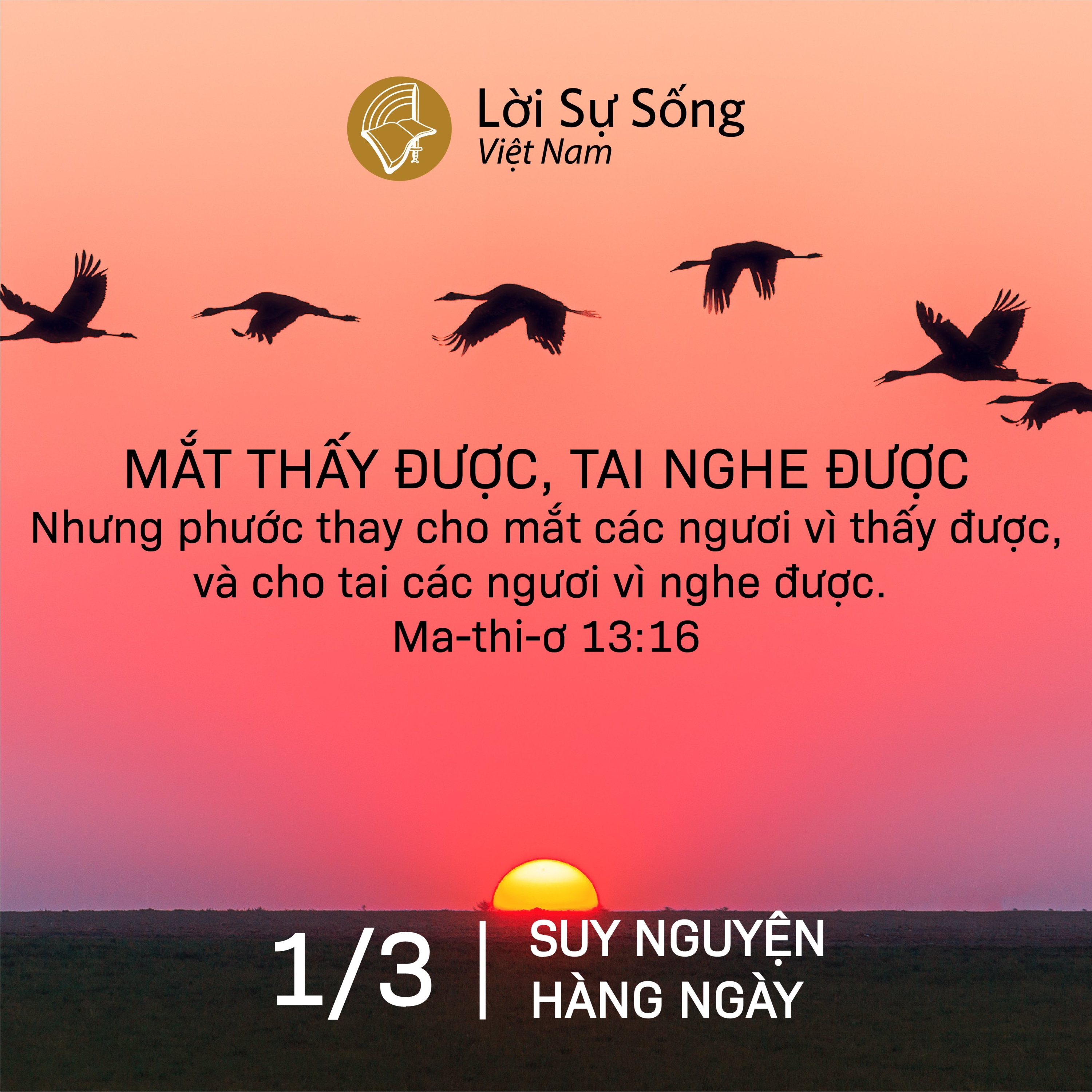 Suy Nguyện - Kinh Nghiệm Chúa Từng Ngày