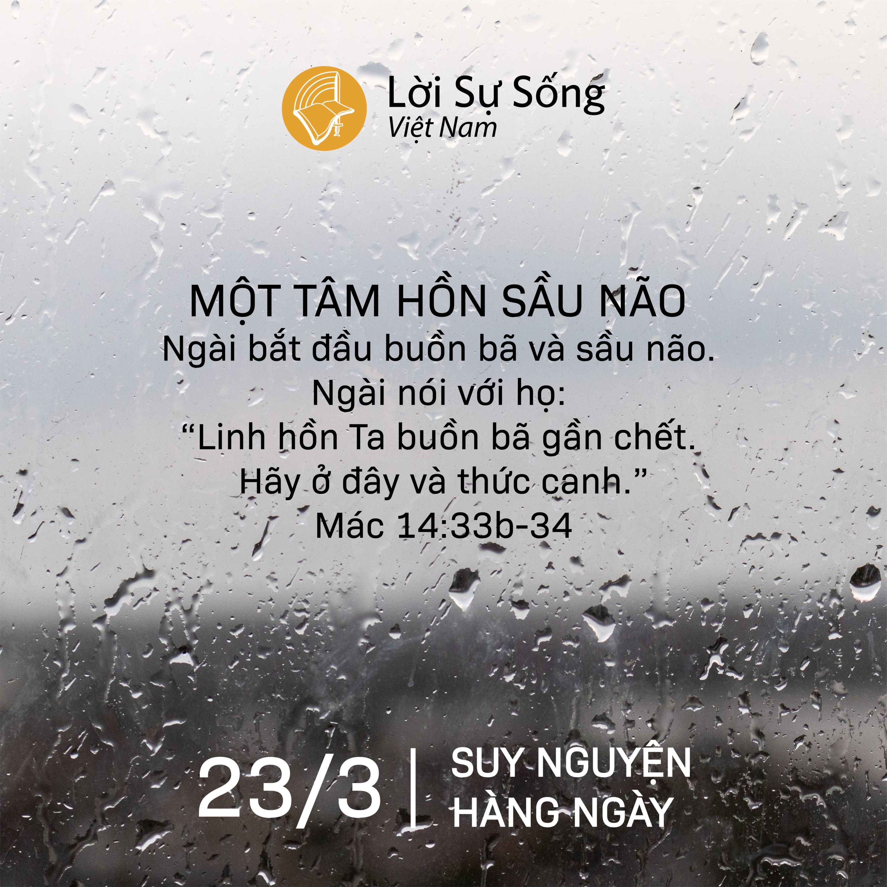 Suy Nguyện - Kinh Nghiệm Chúa Từng Ngày