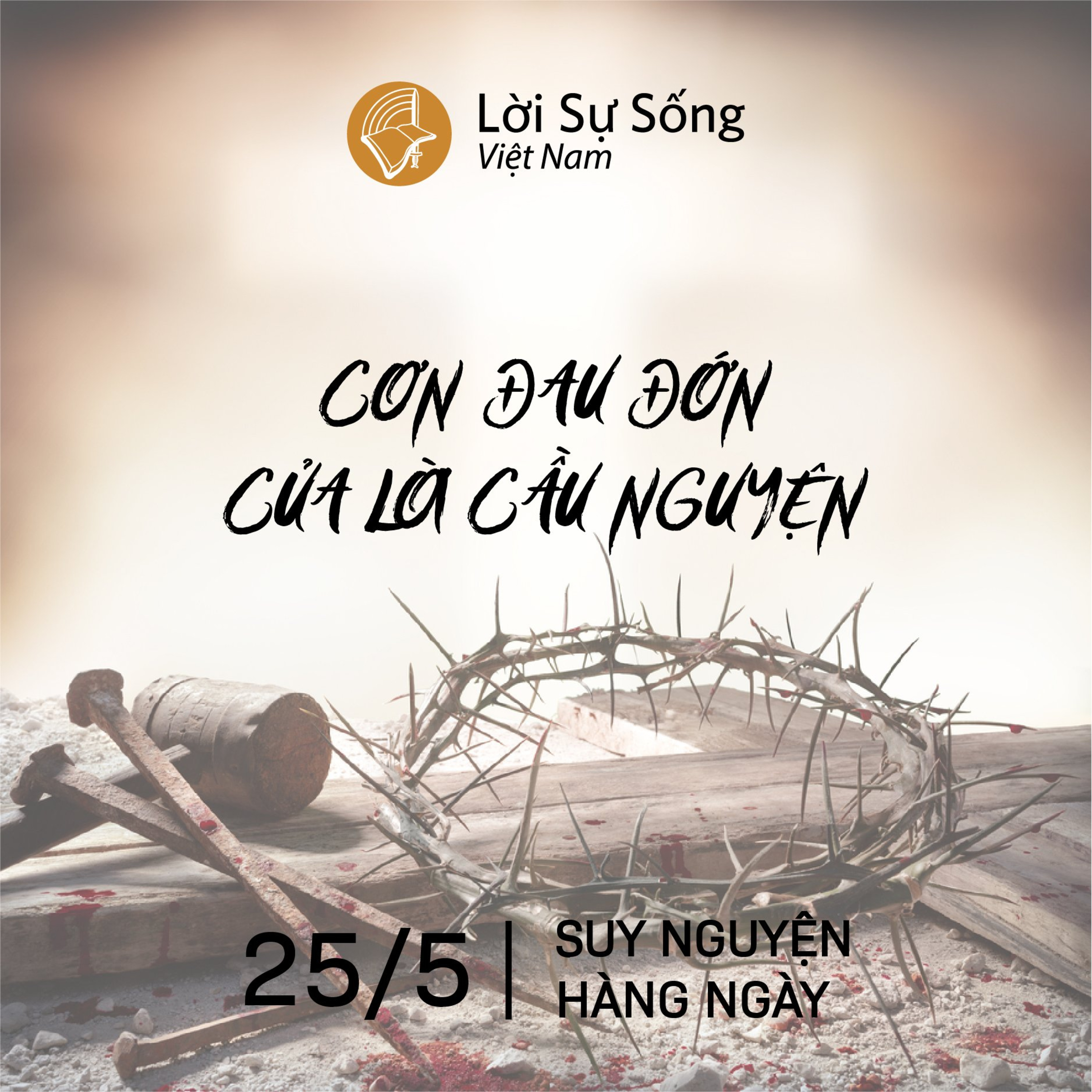 Suy Nguyện - Kinh Nghiệm Chúa Từng Ngày