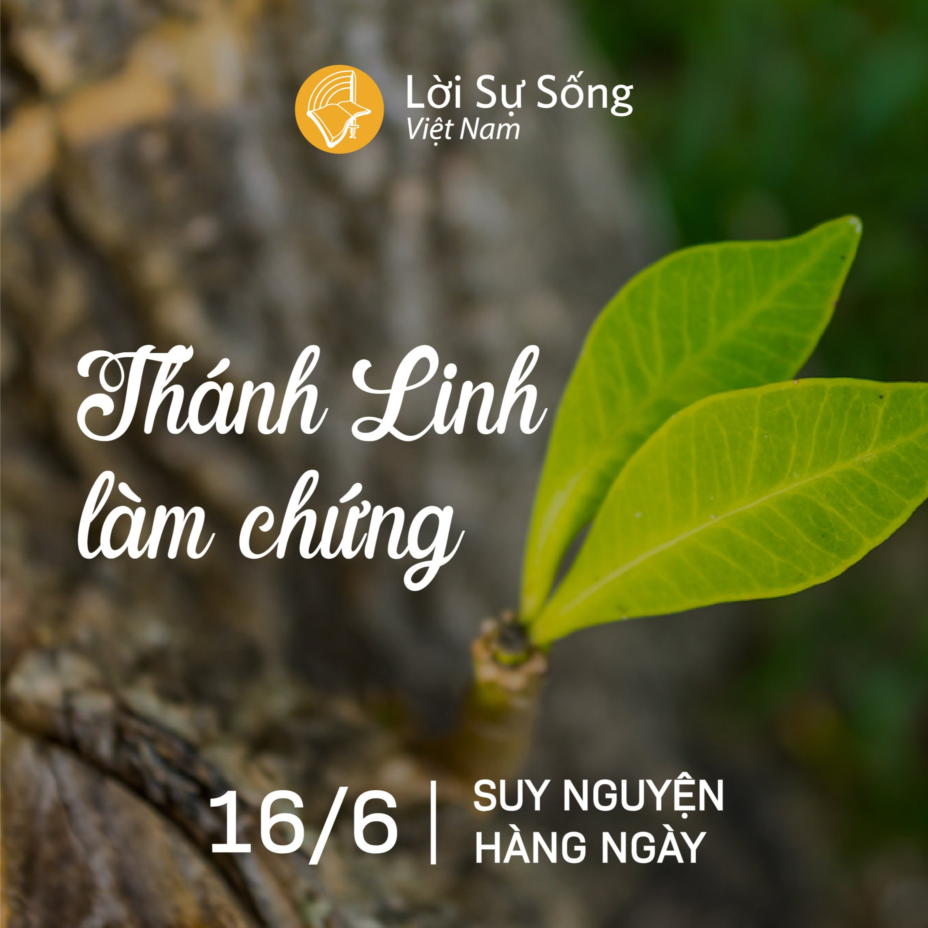 Suy Nguyện - Kinh Nghiệm Chúa Từng Ngày