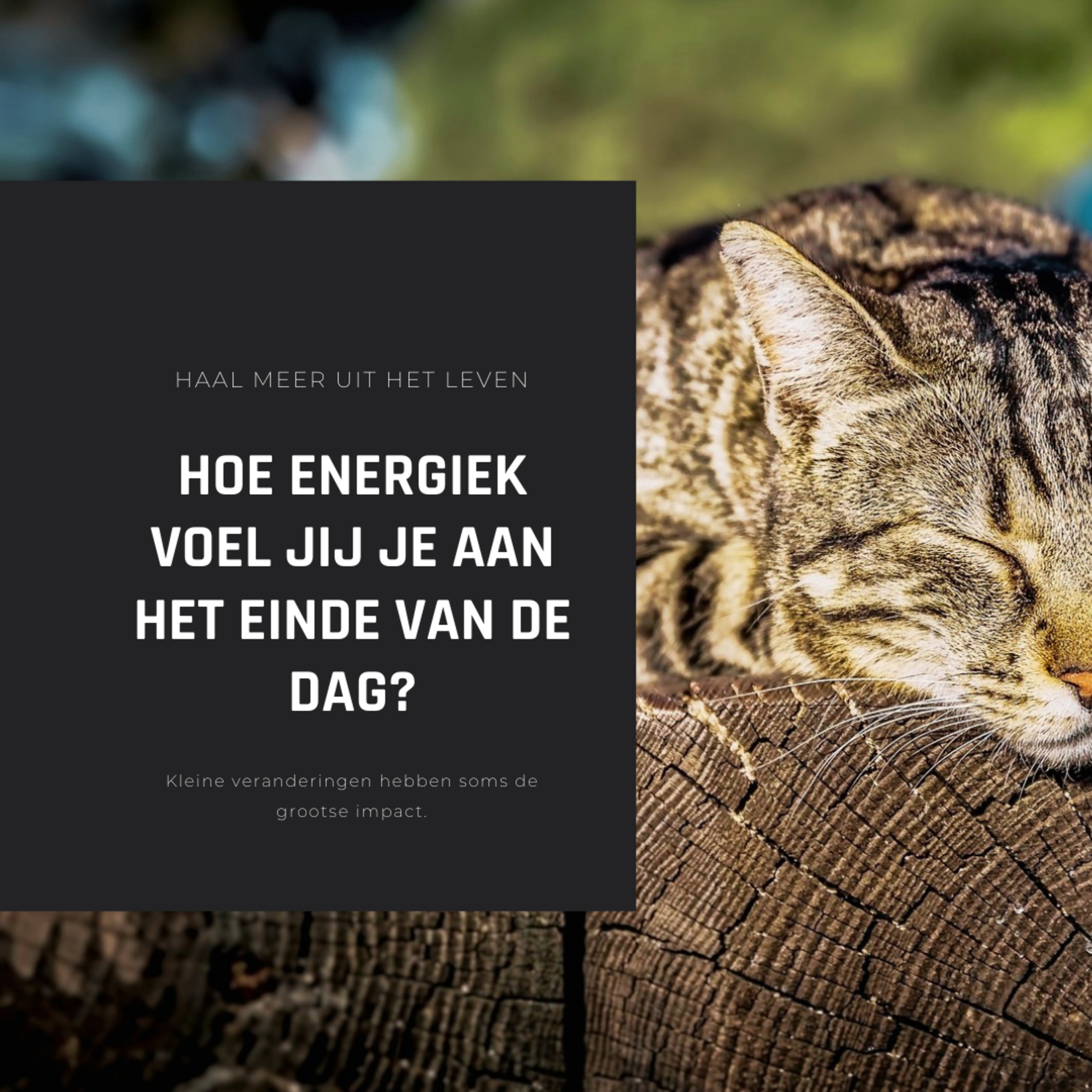 Weg naar rijkdom