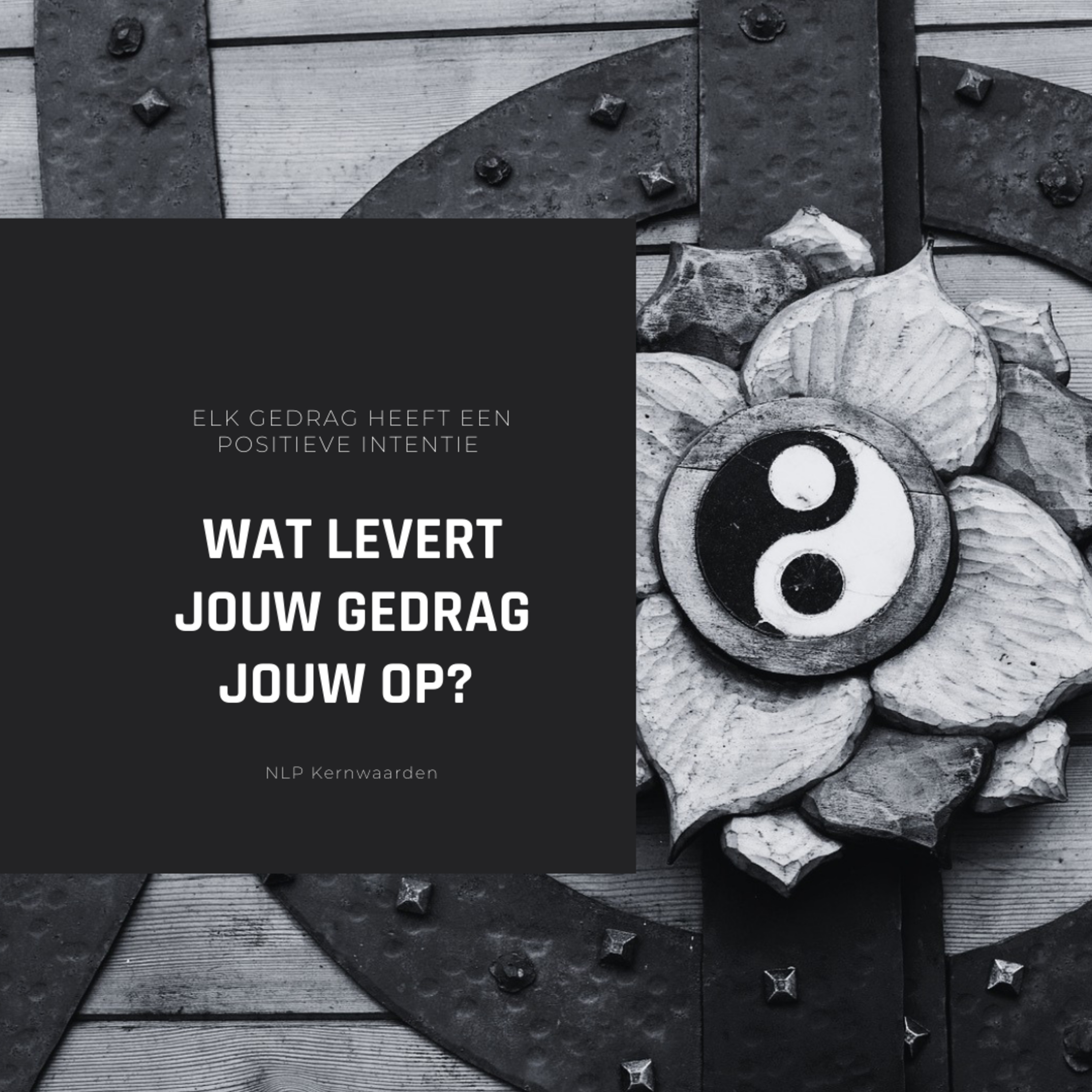 Weg naar rijkdom