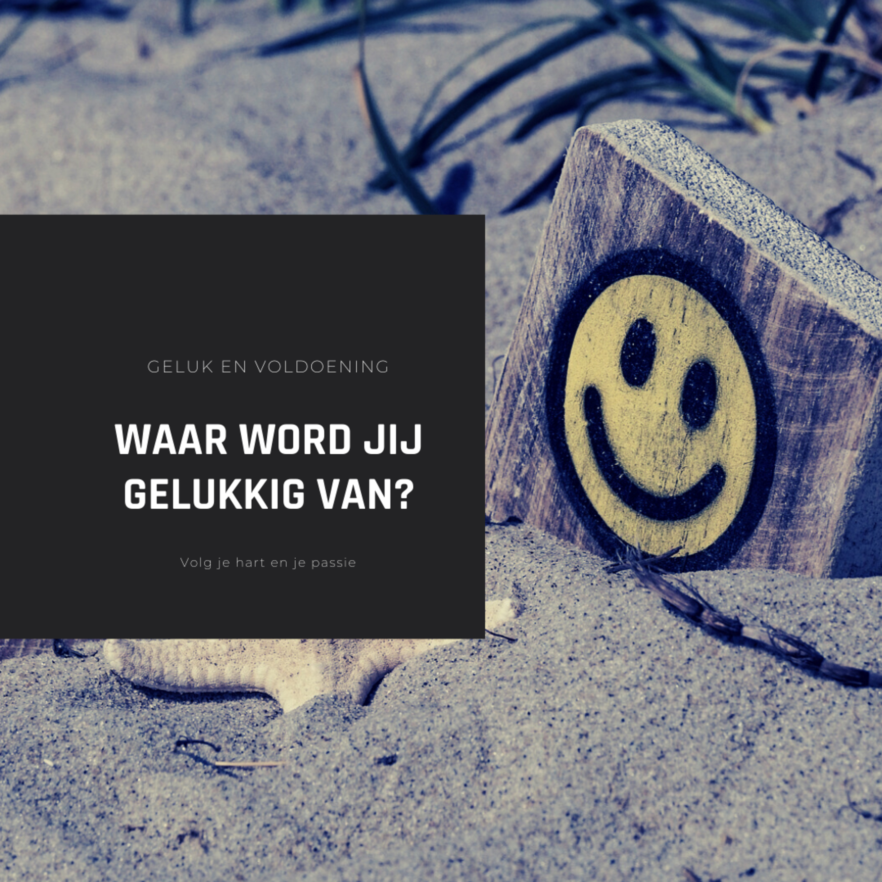 Weg naar rijkdom