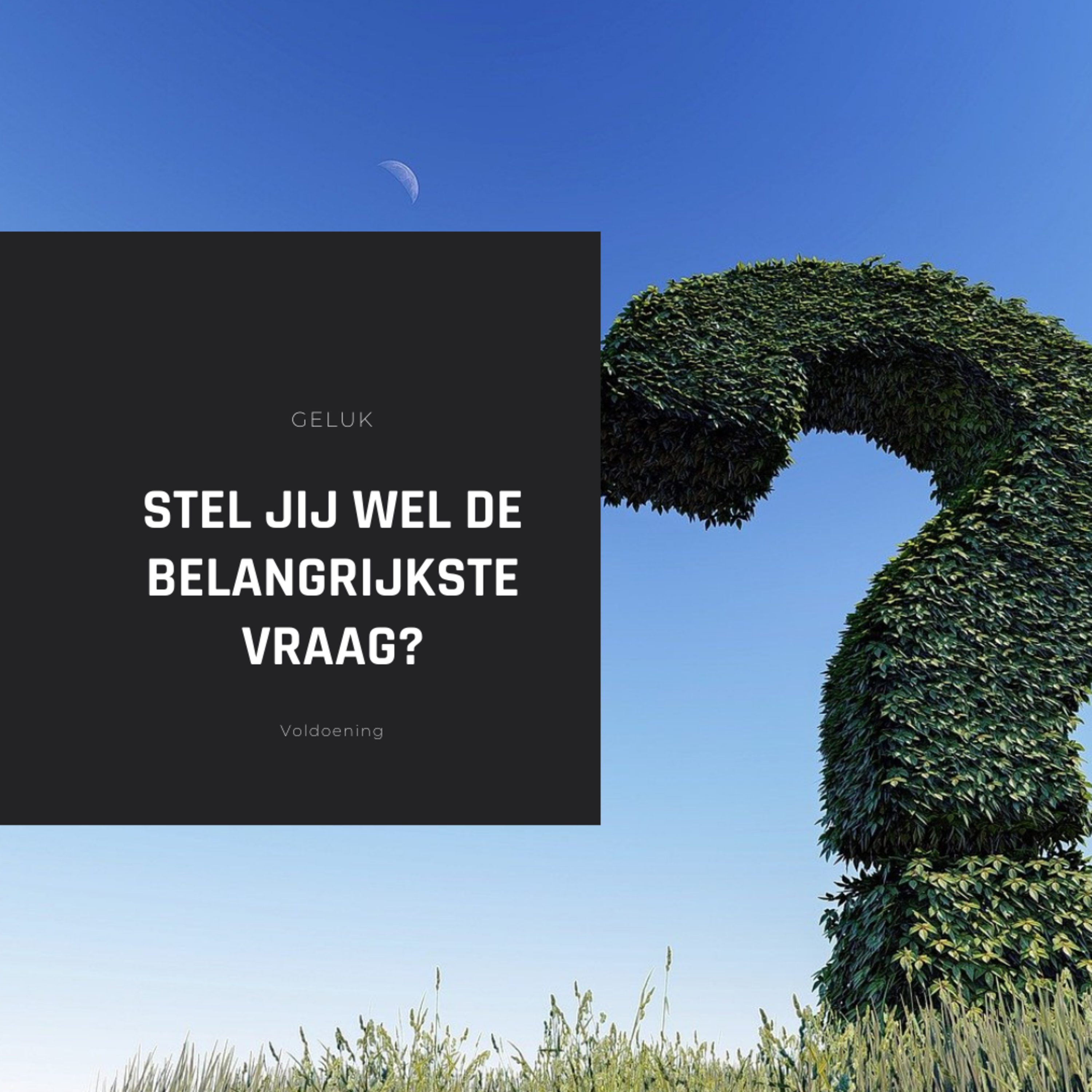 Weg naar rijkdom