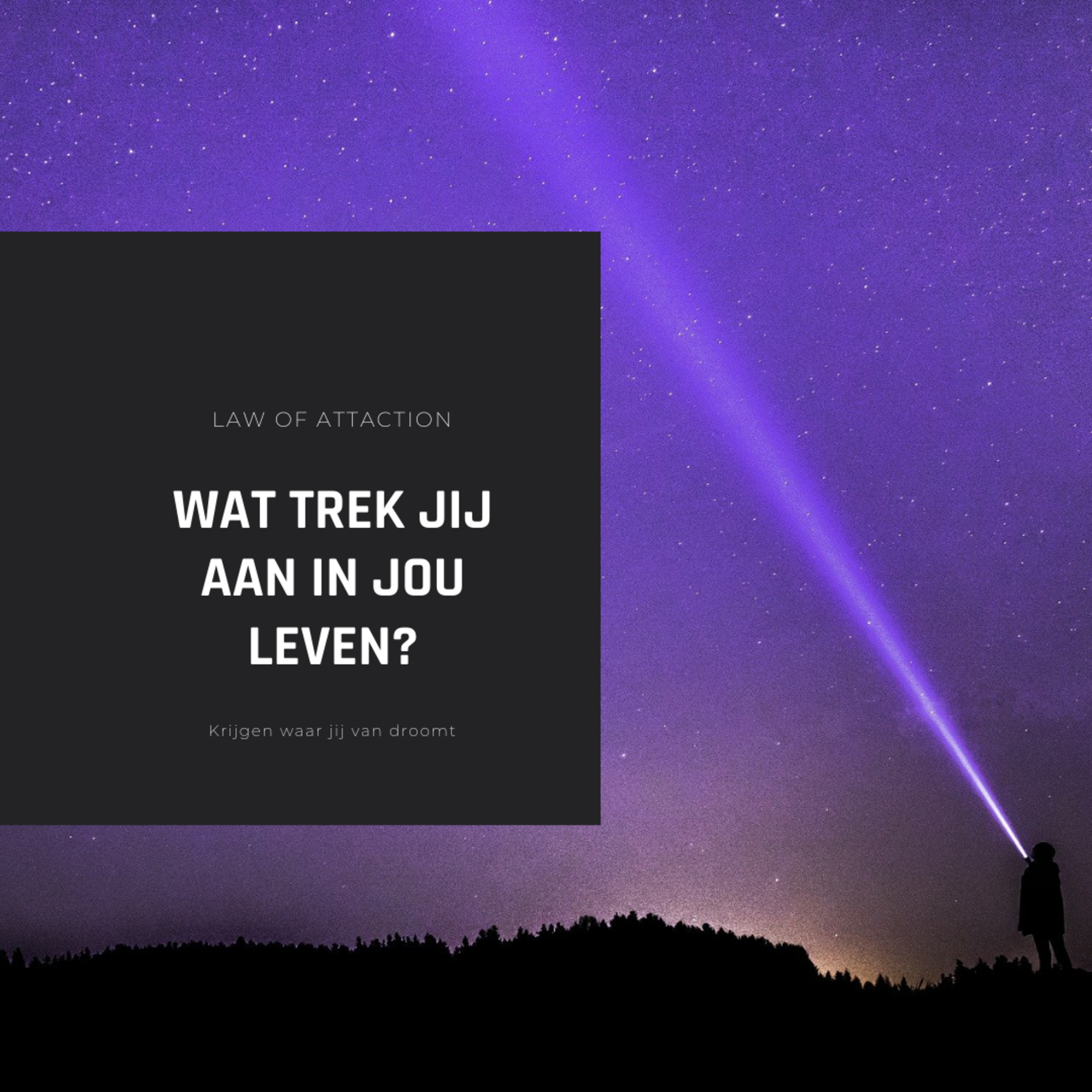 Weg naar rijkdom