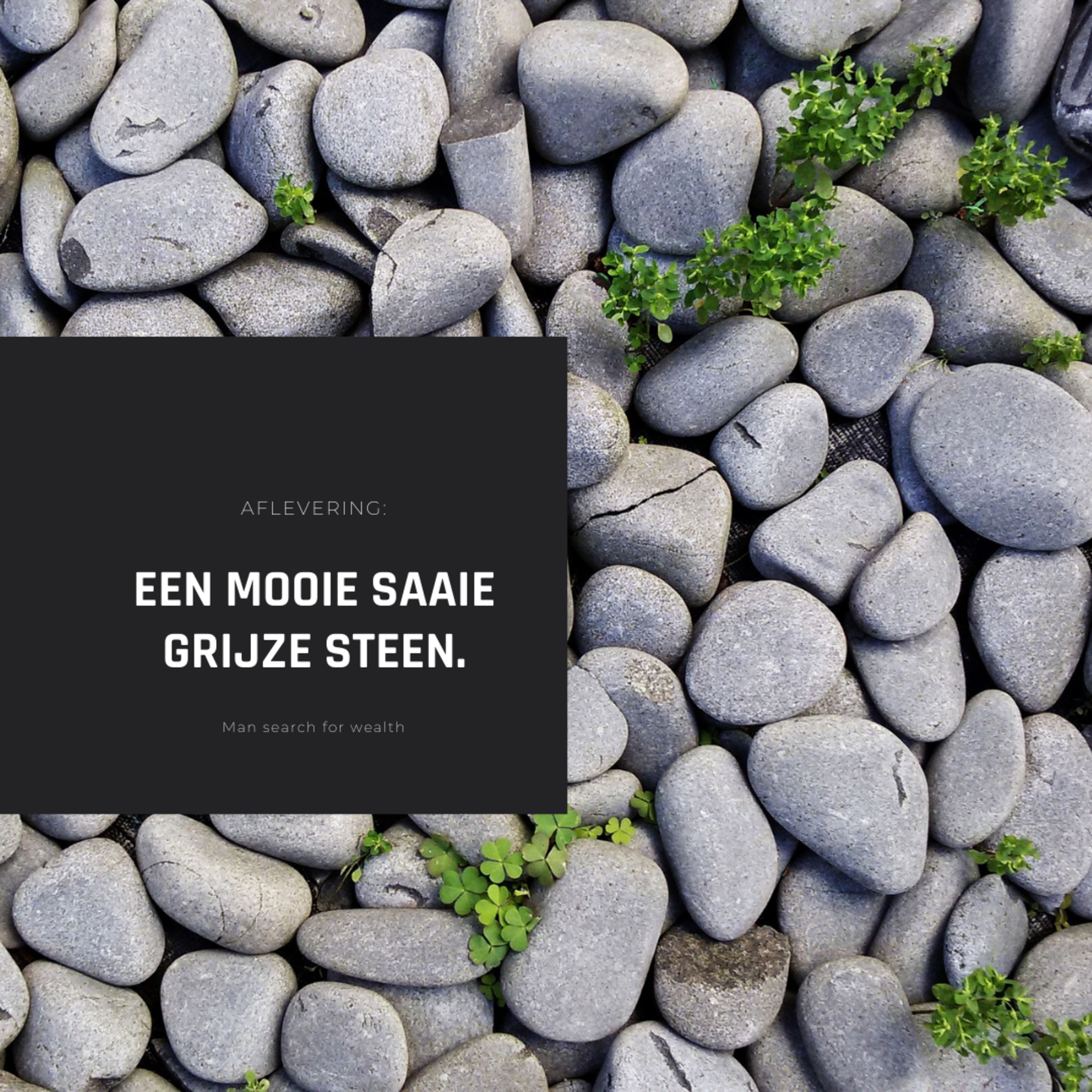 Weg naar rijkdom