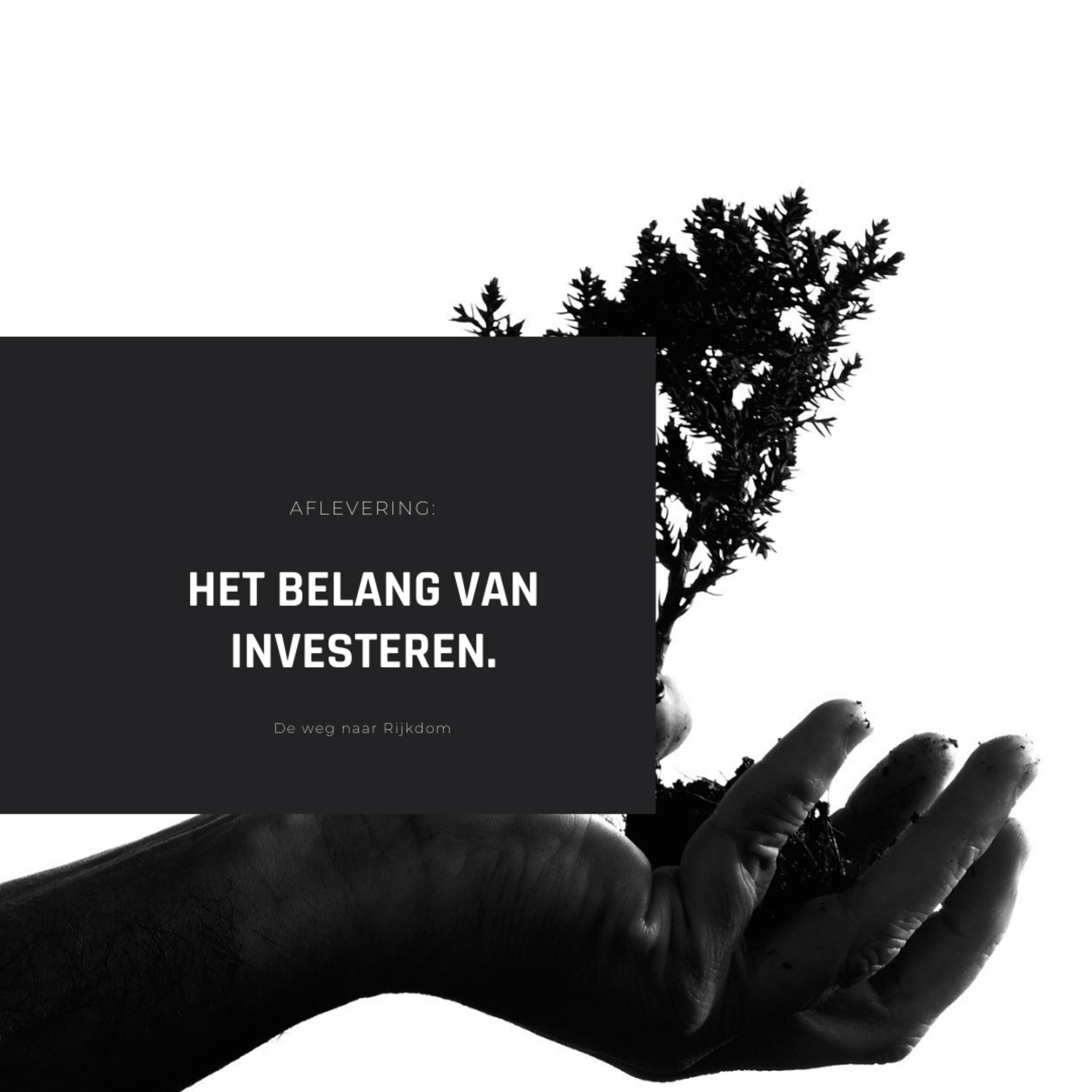 Weg naar rijkdom