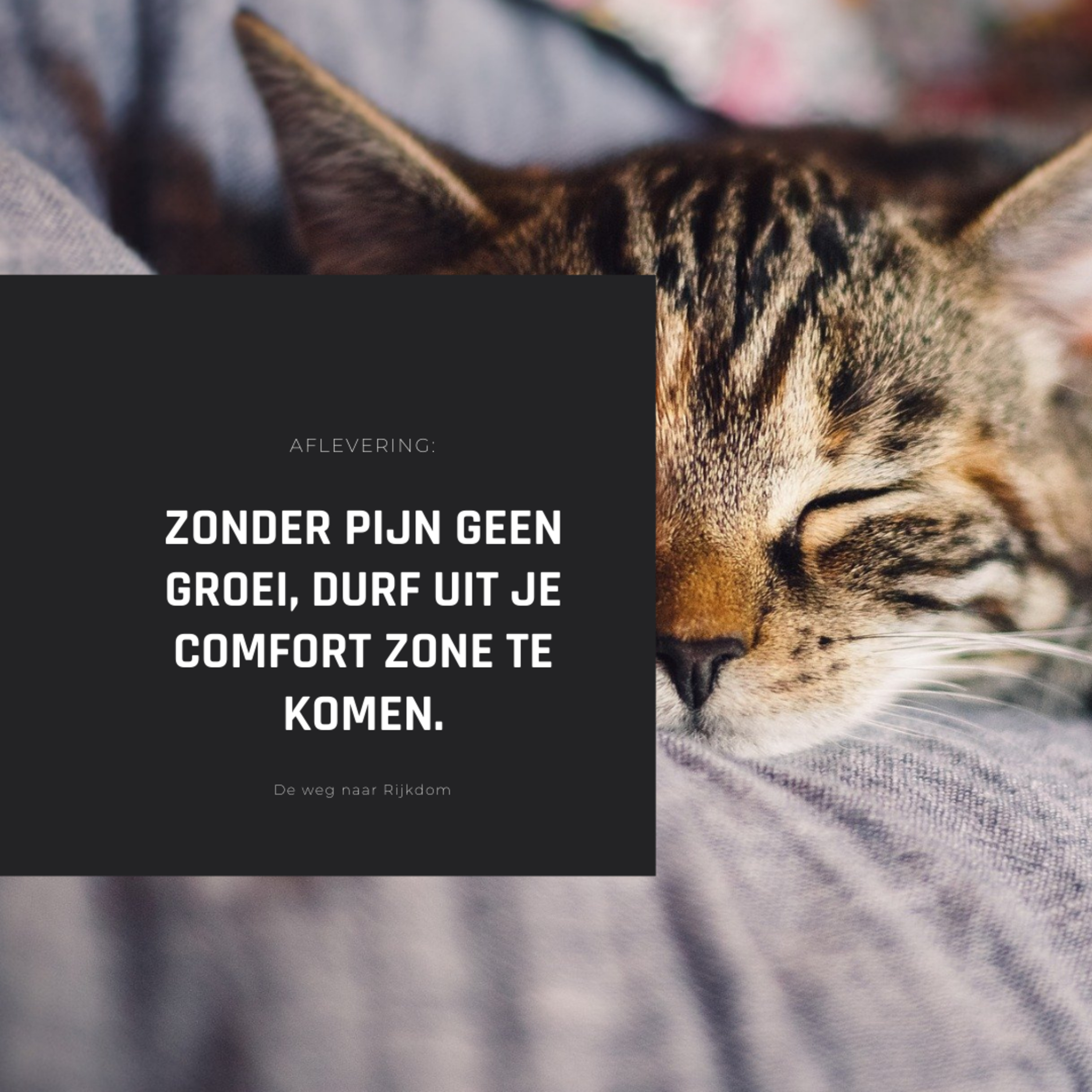 Weg naar rijkdom