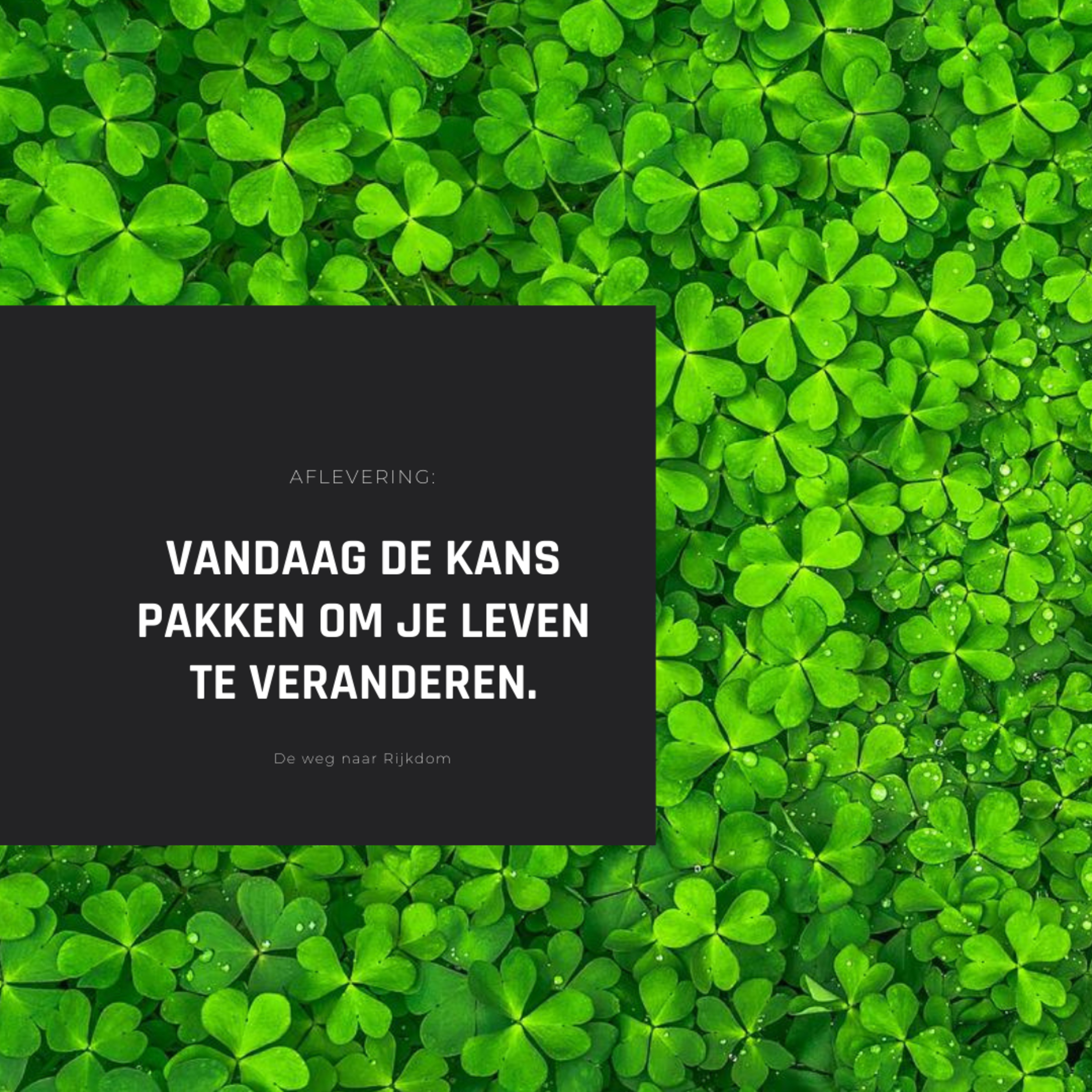 Weg naar rijkdom