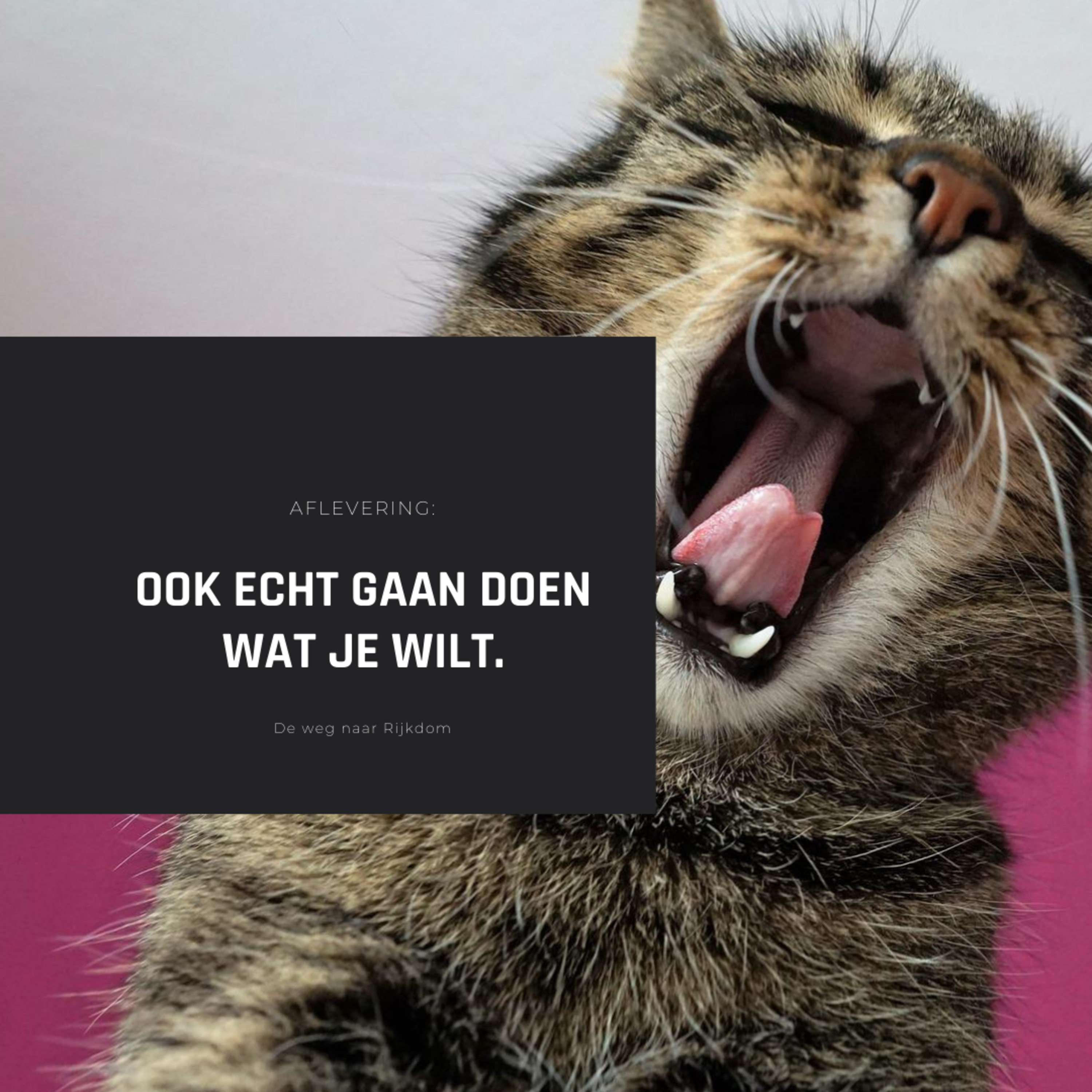 Weg naar rijkdom
