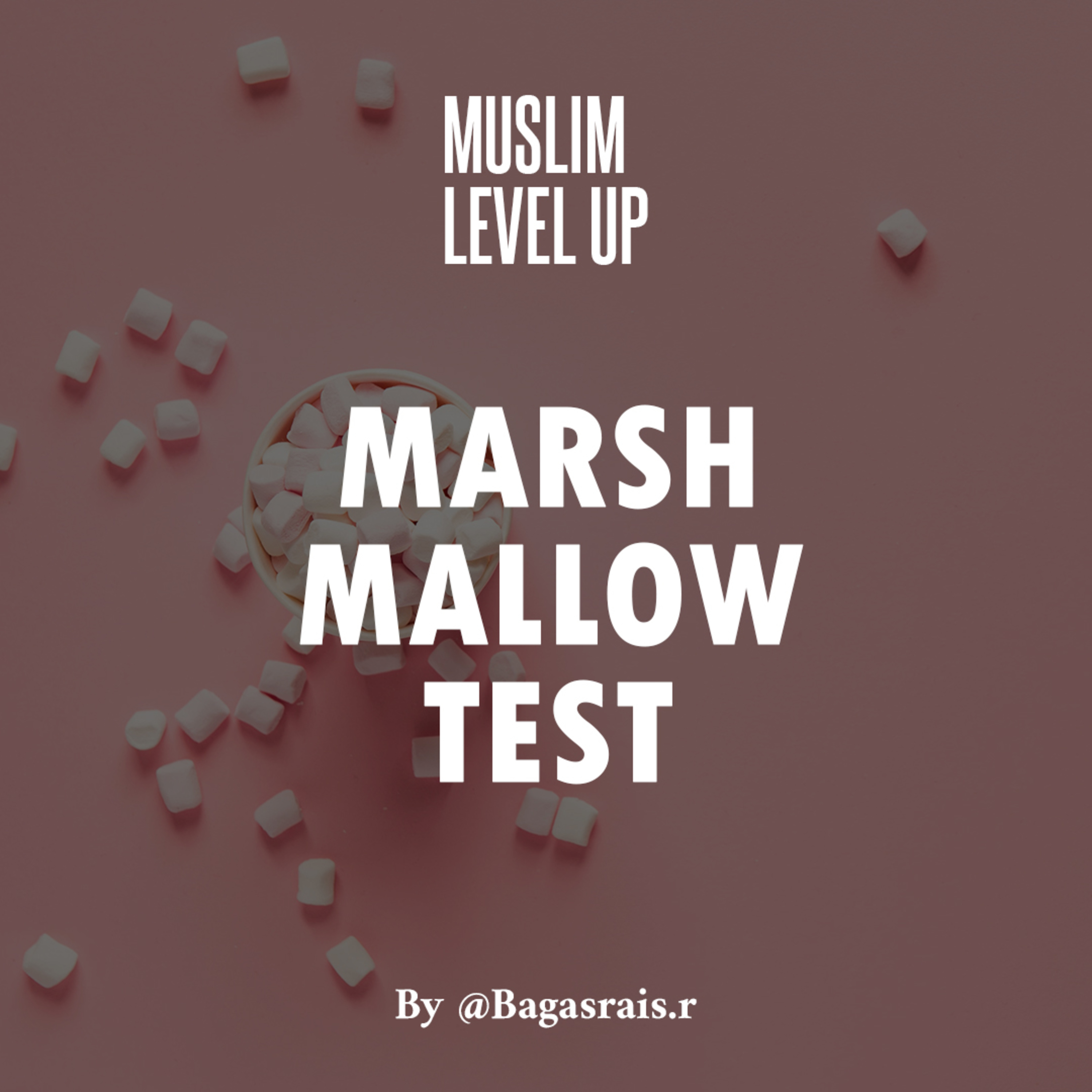 Muslim Level Up
