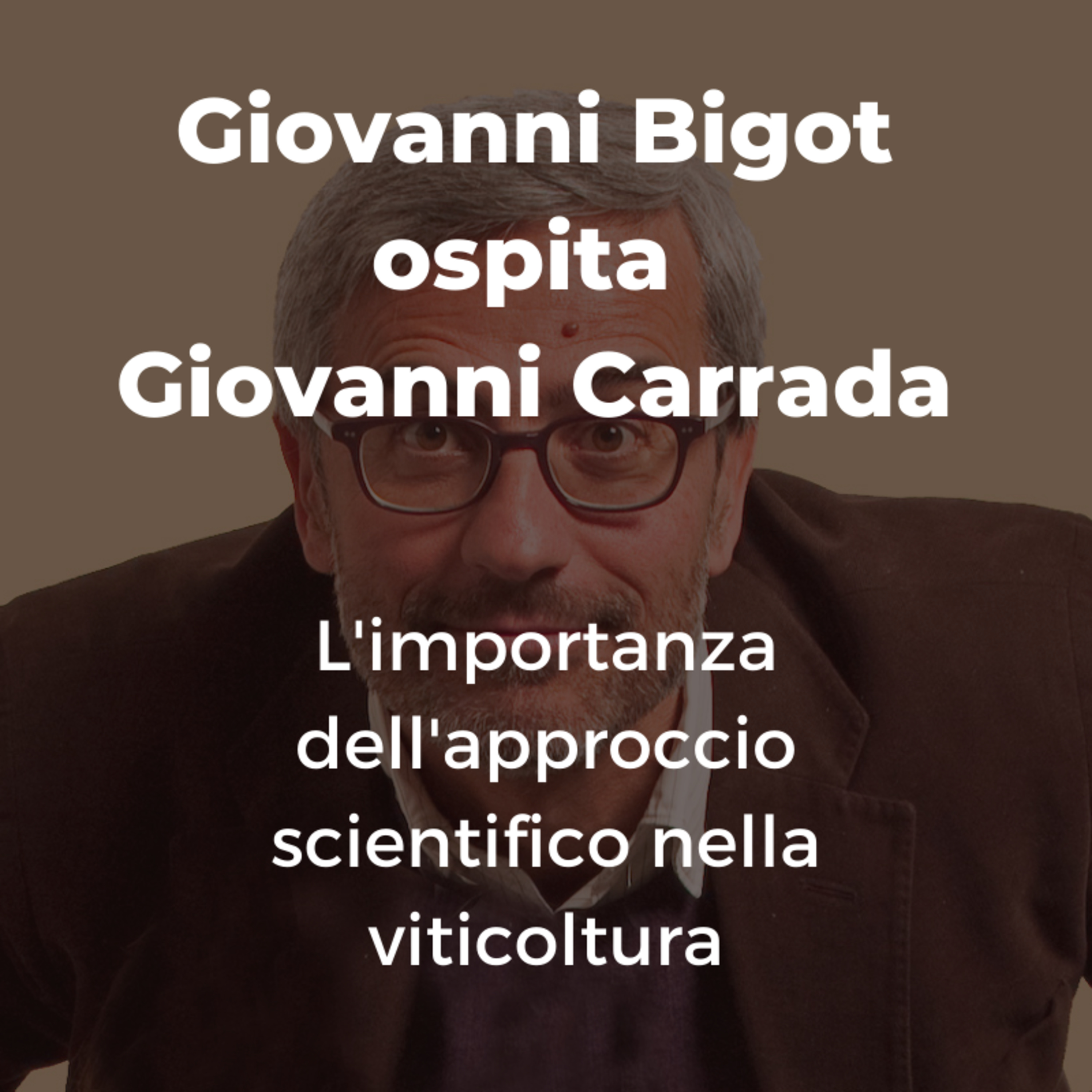 Conversazioni sulla Viticoltura Italiana con Giovanni Bigot