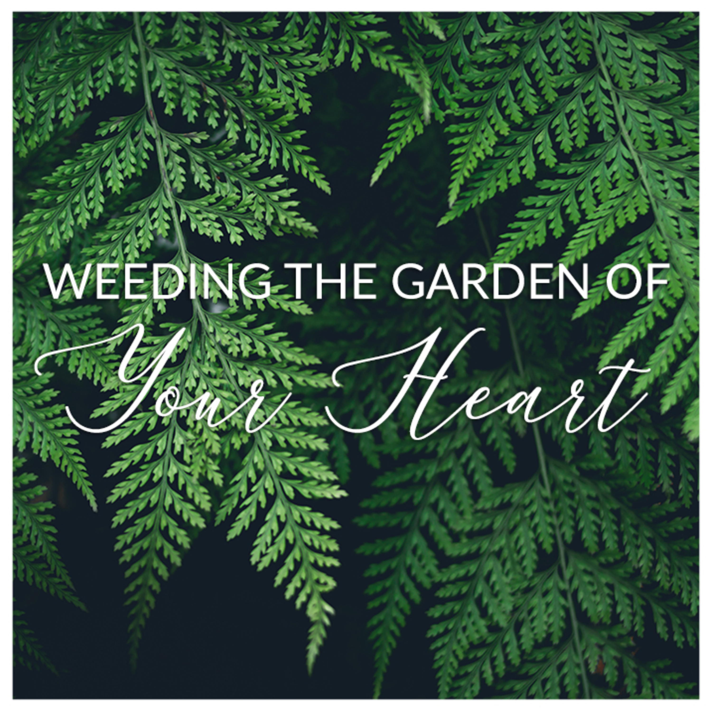 Weeding The Garden Of Your Heart // Pruning, repentance and inner healing