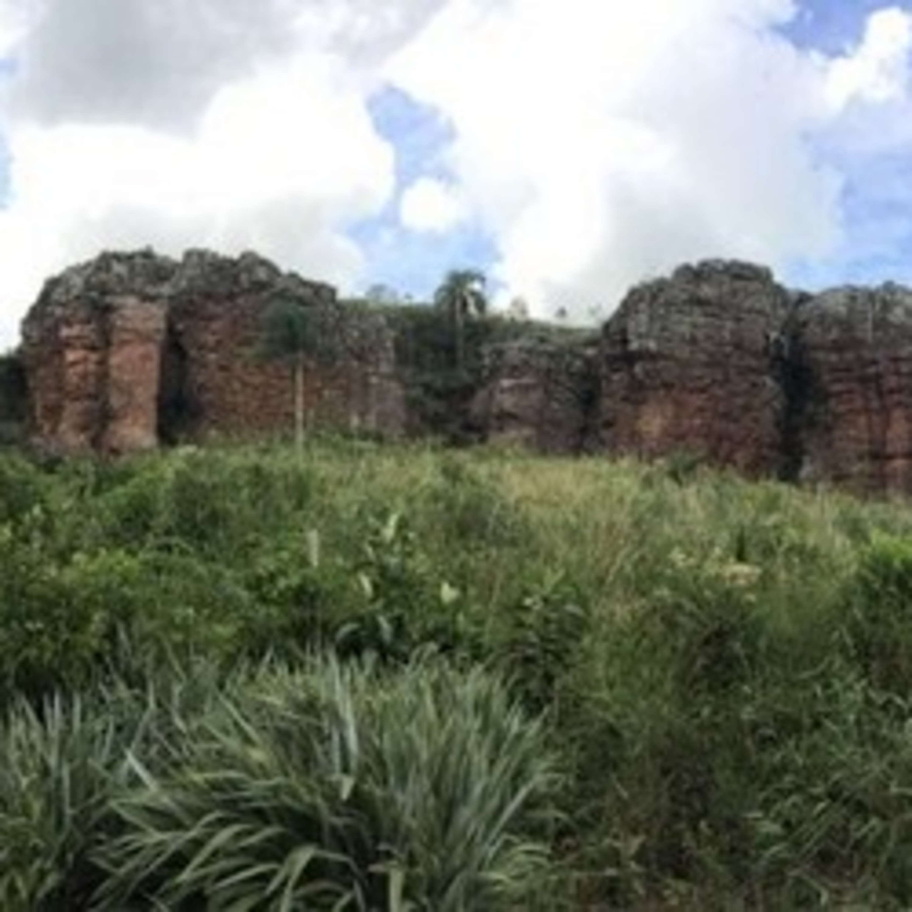 Os Caminhantes
