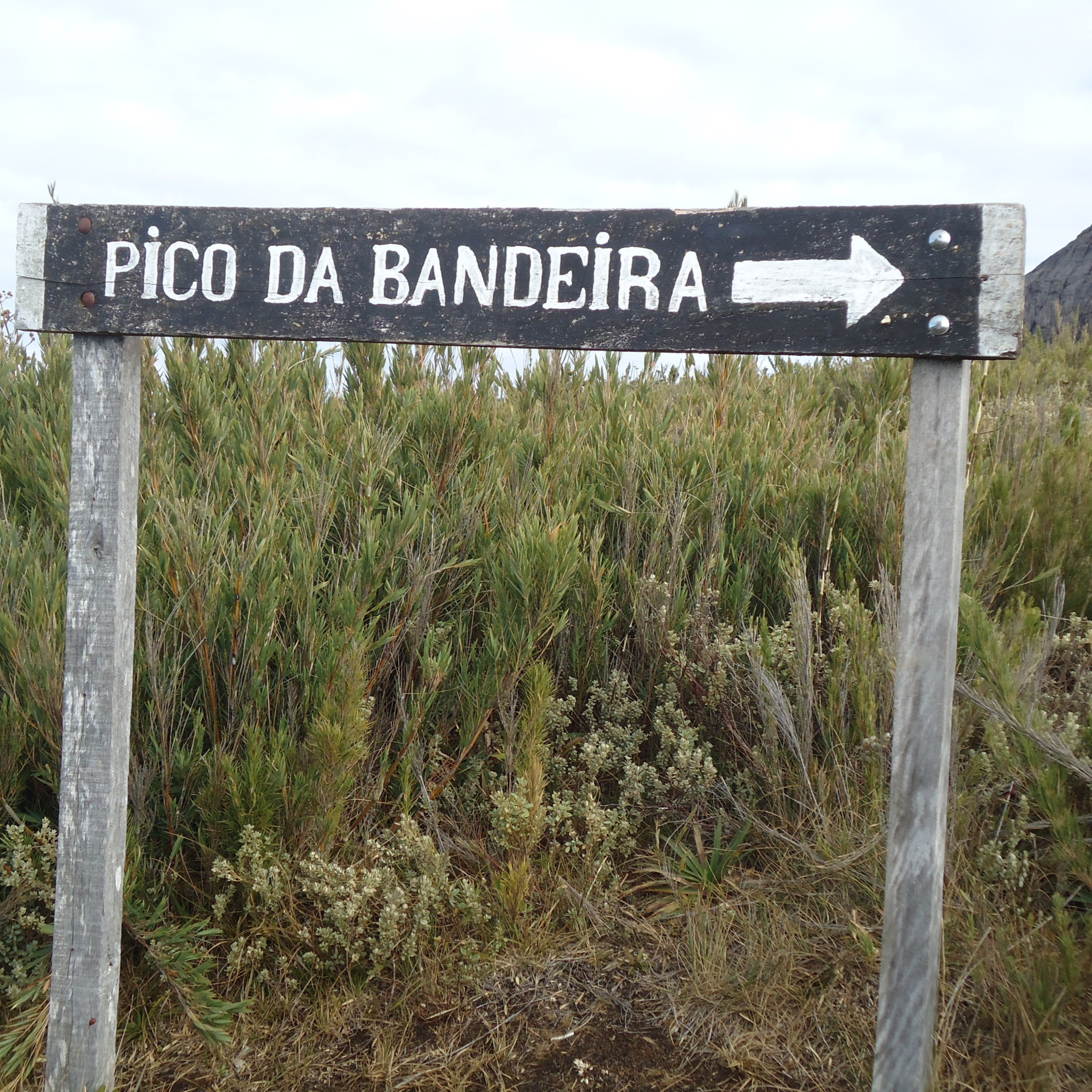 Os Caminhantes