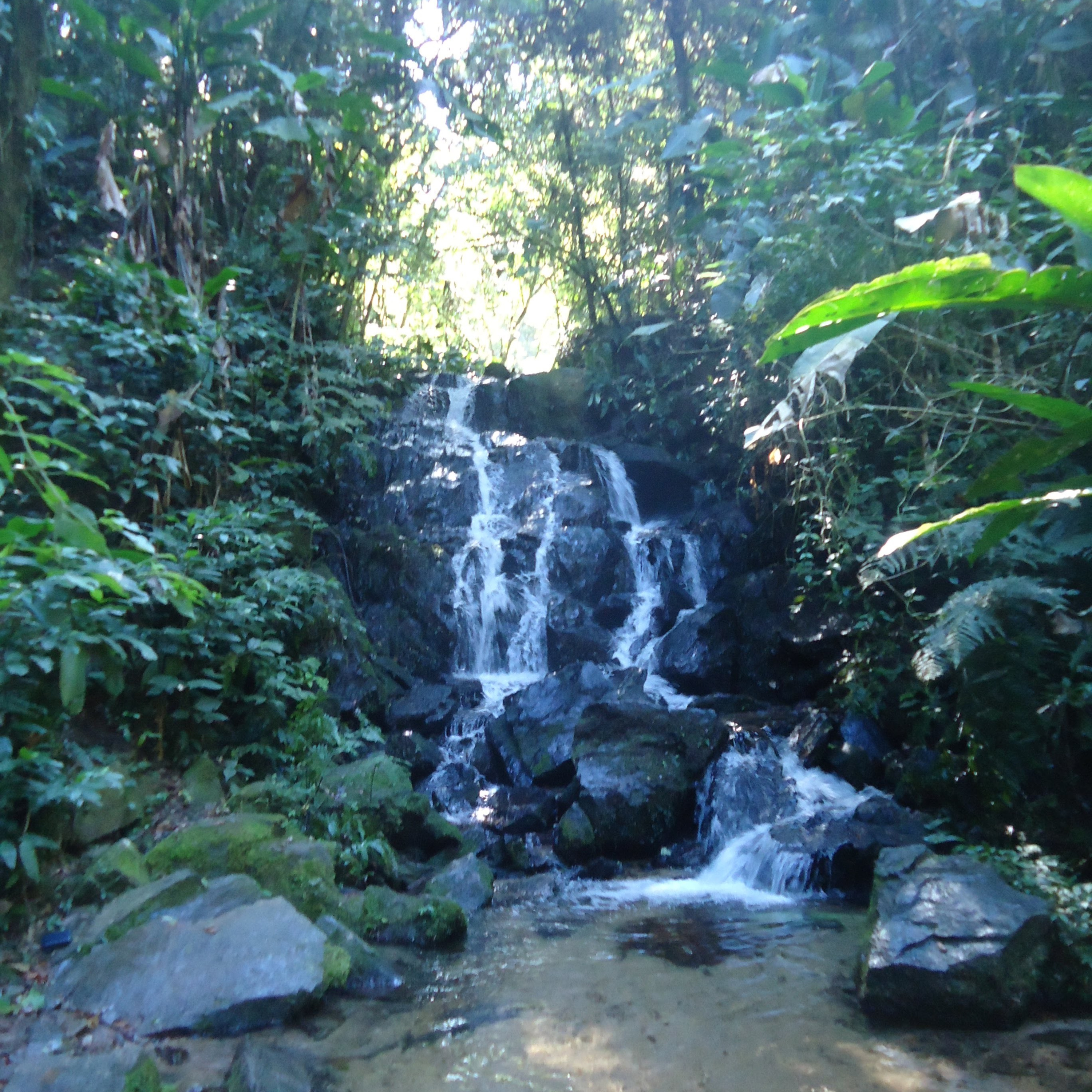 Os Caminhantes