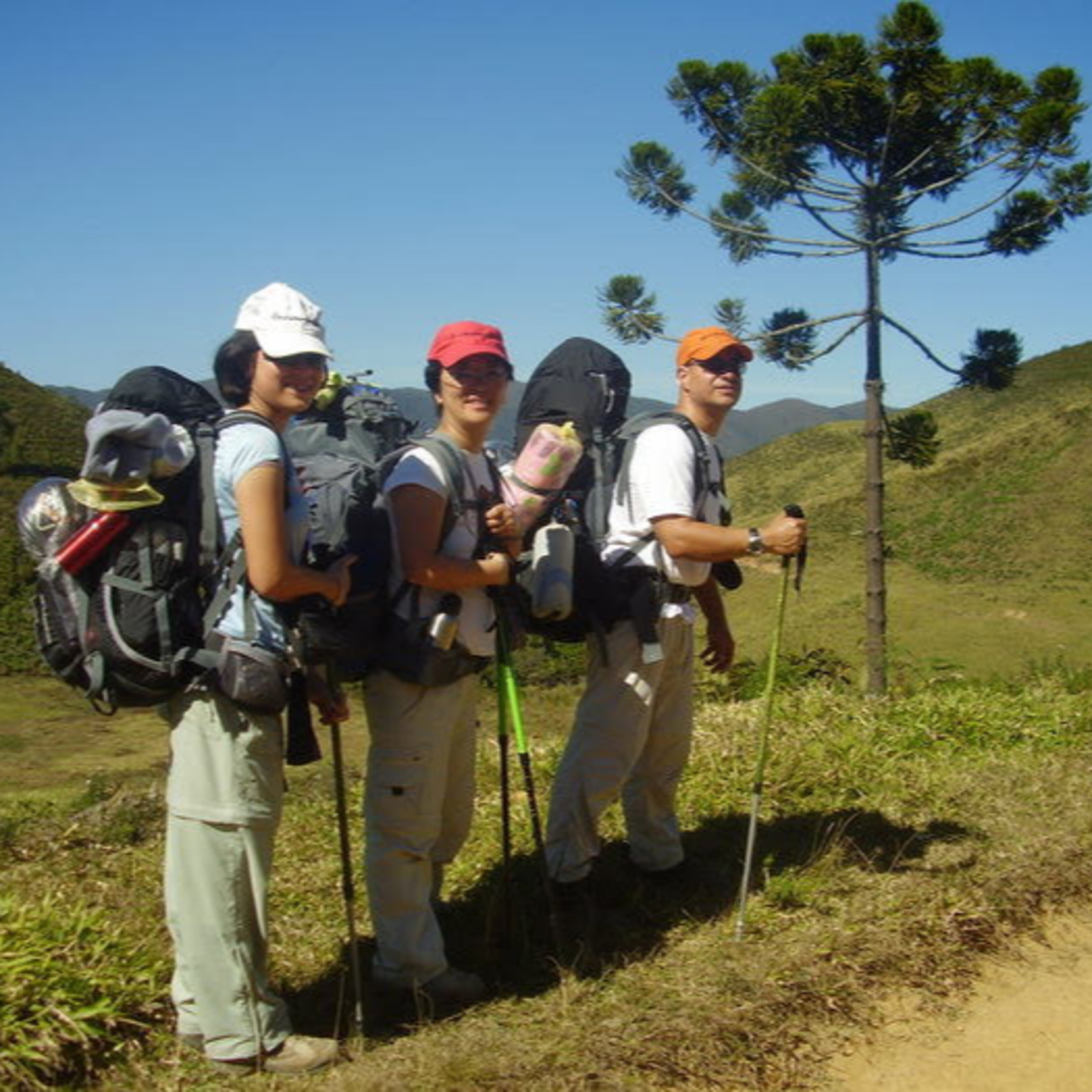 Os Caminhantes
