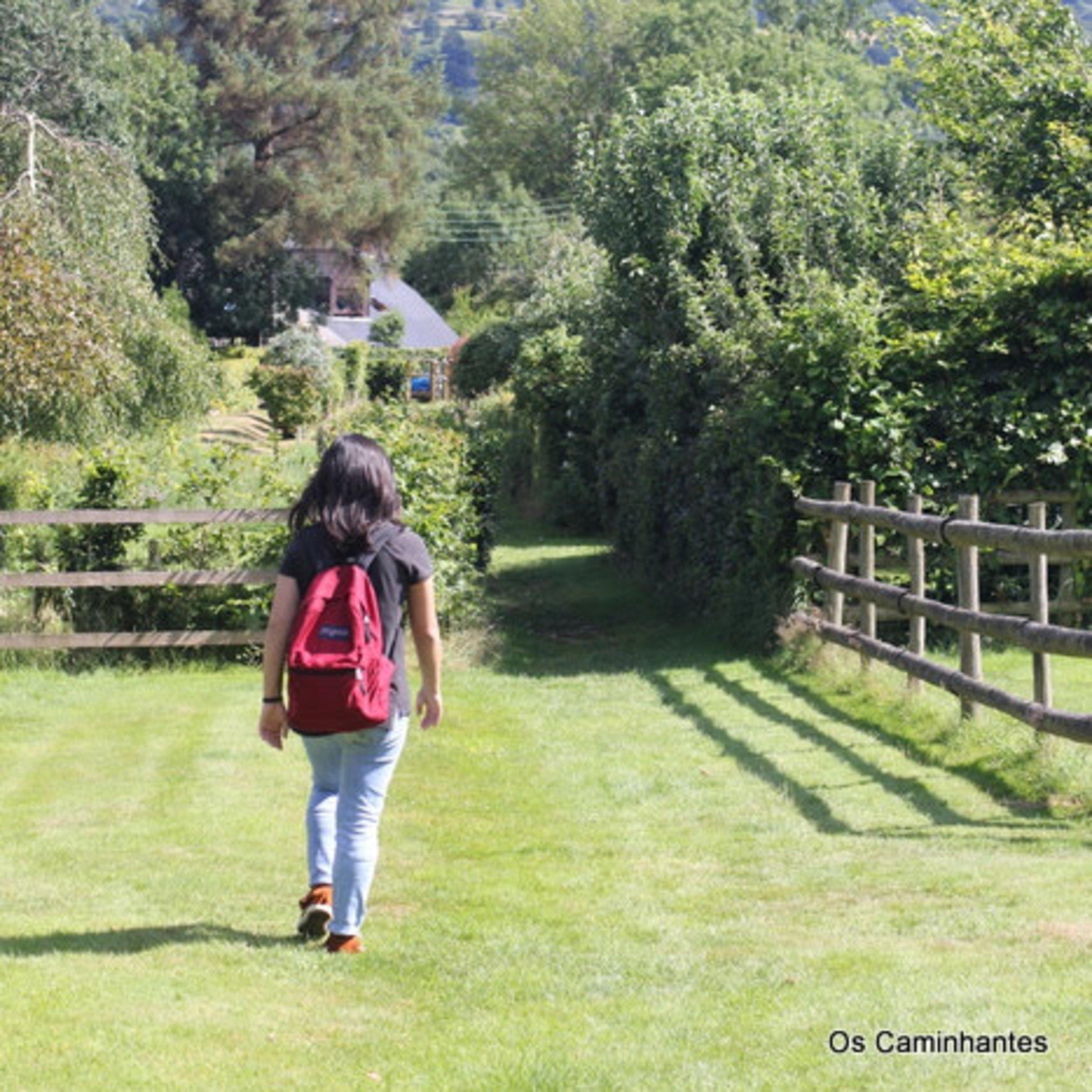 Os Caminhantes