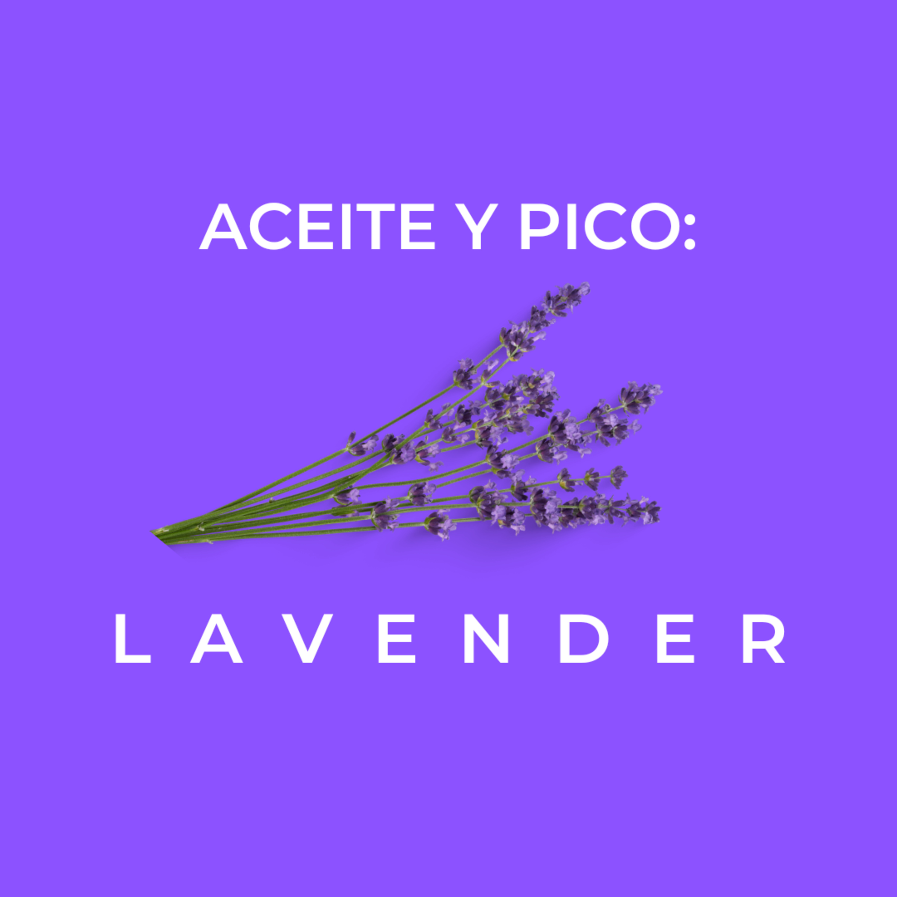Conoce Lavanda episode artwork