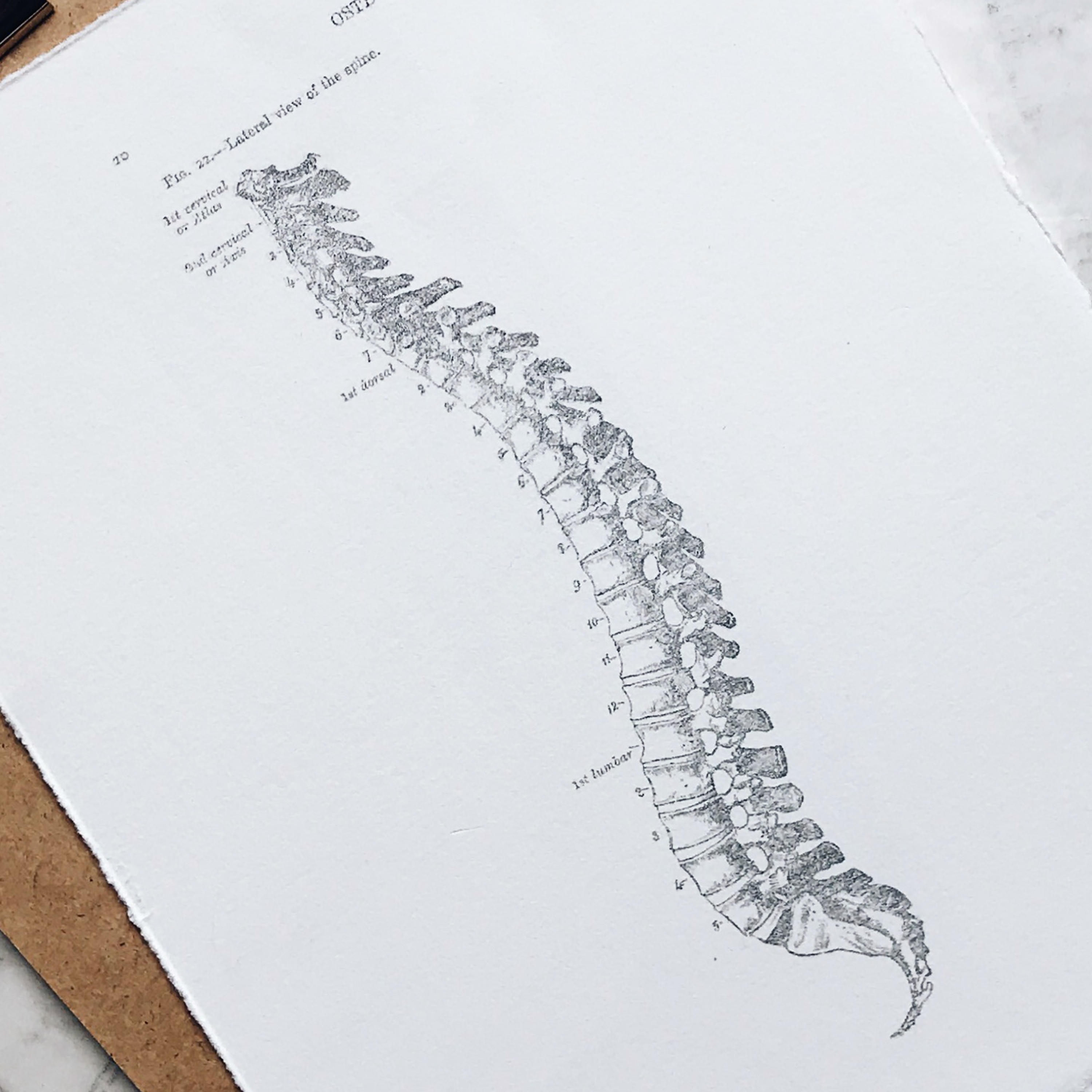 Improve your posture with these simple tips episode artwork