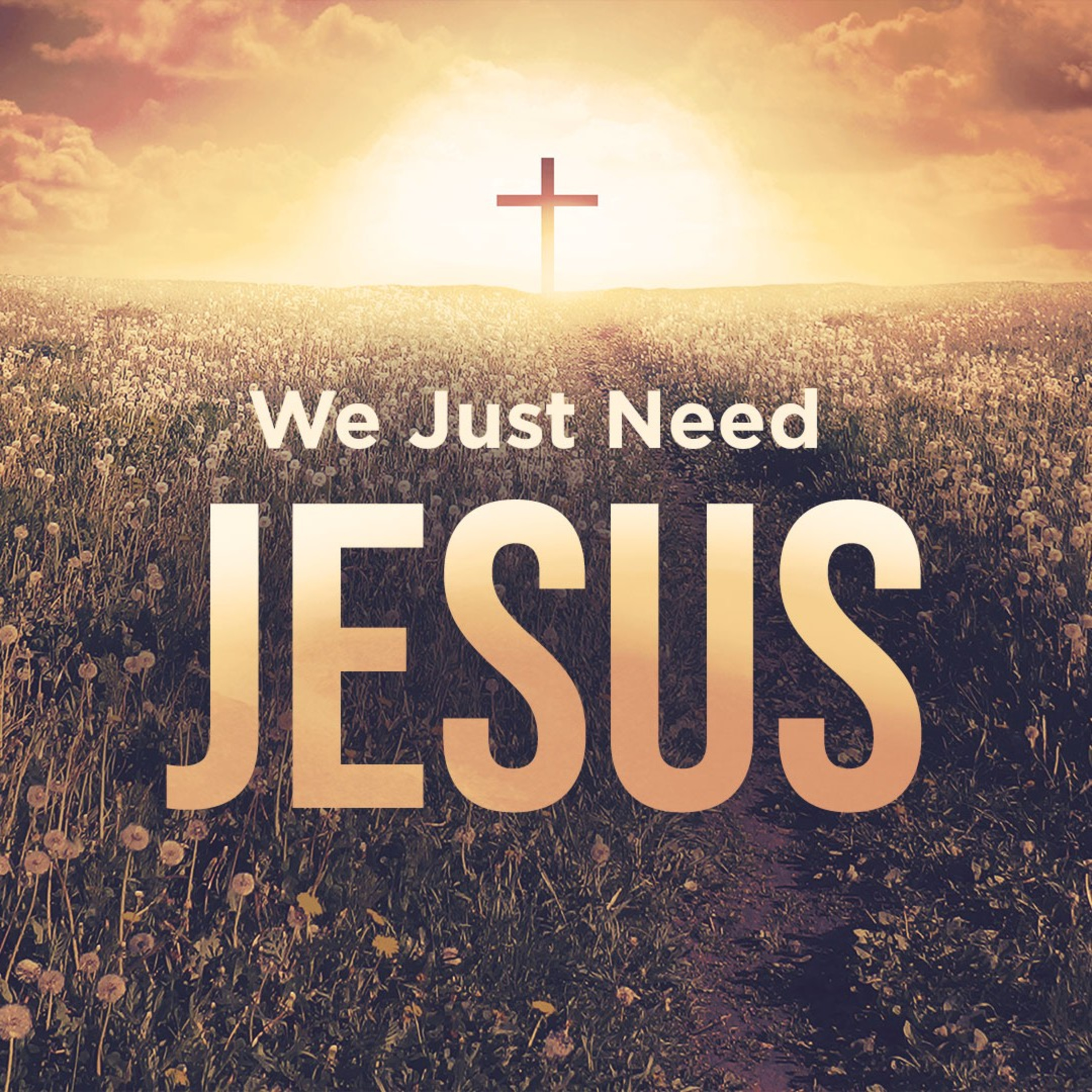 Morning Dew: You need Jesus Today