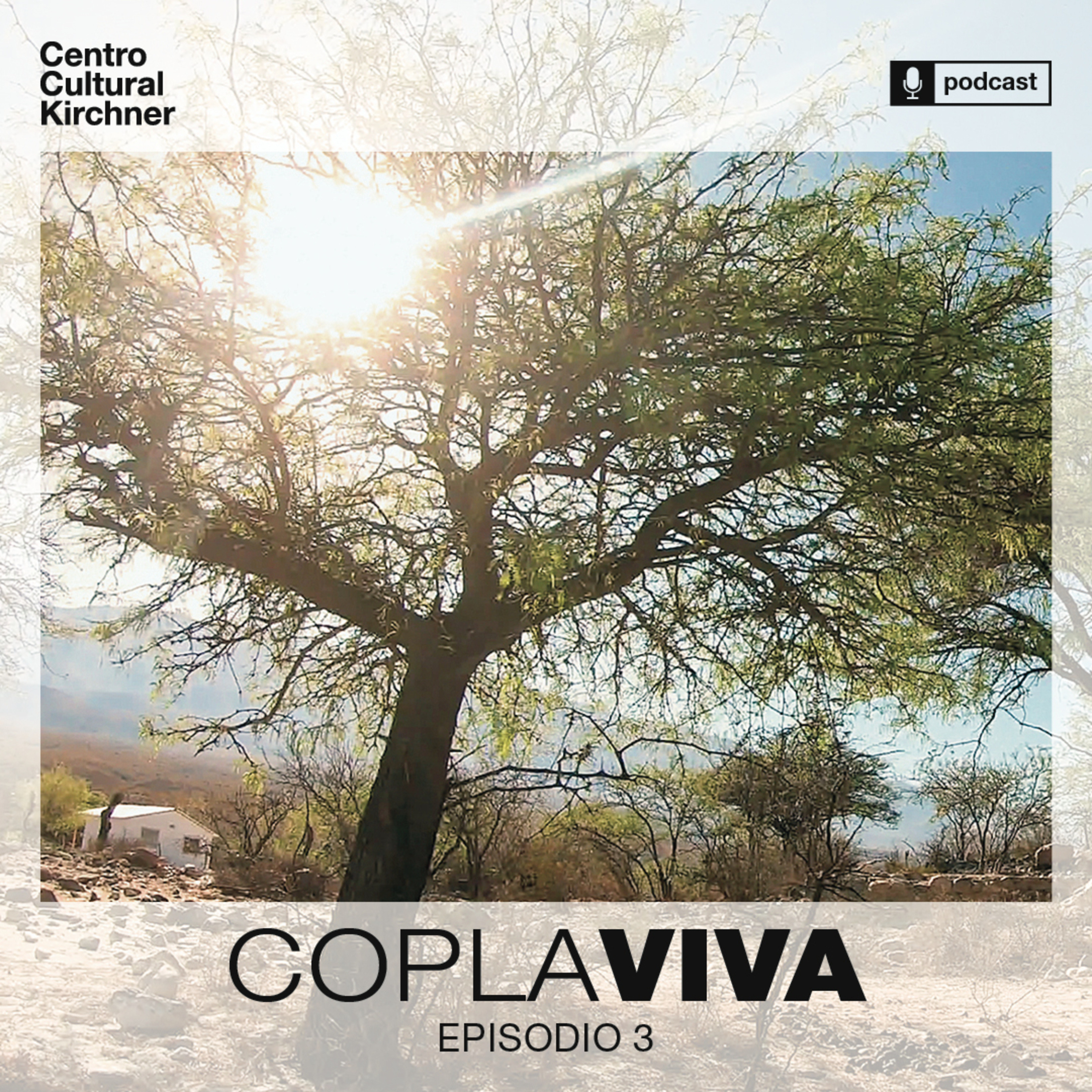 Copla viva. Un podcast cantado con caja.